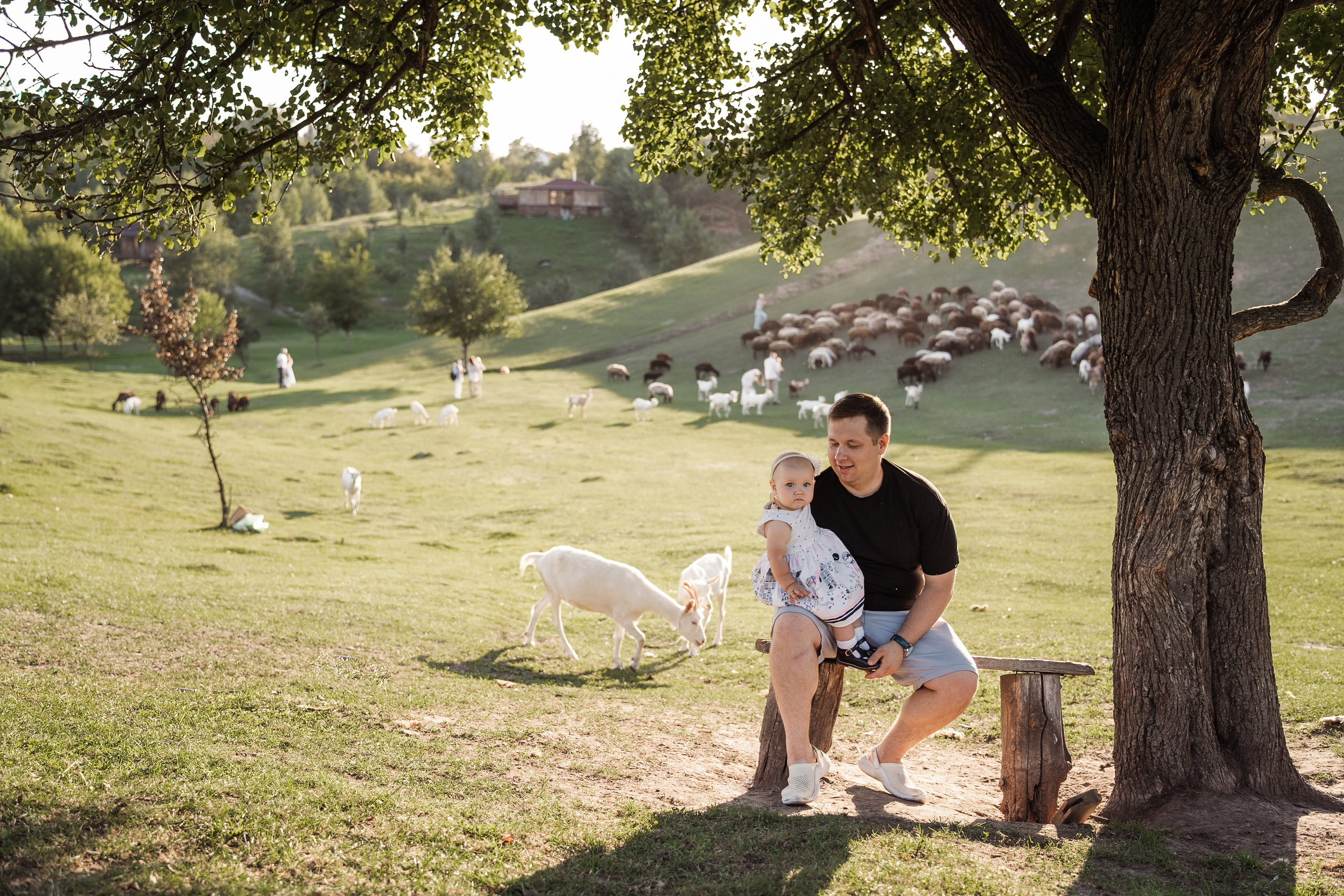 Святкування 1-го дня народження на овечій фермі. Family photographer in Kiev Natalia Shkavron