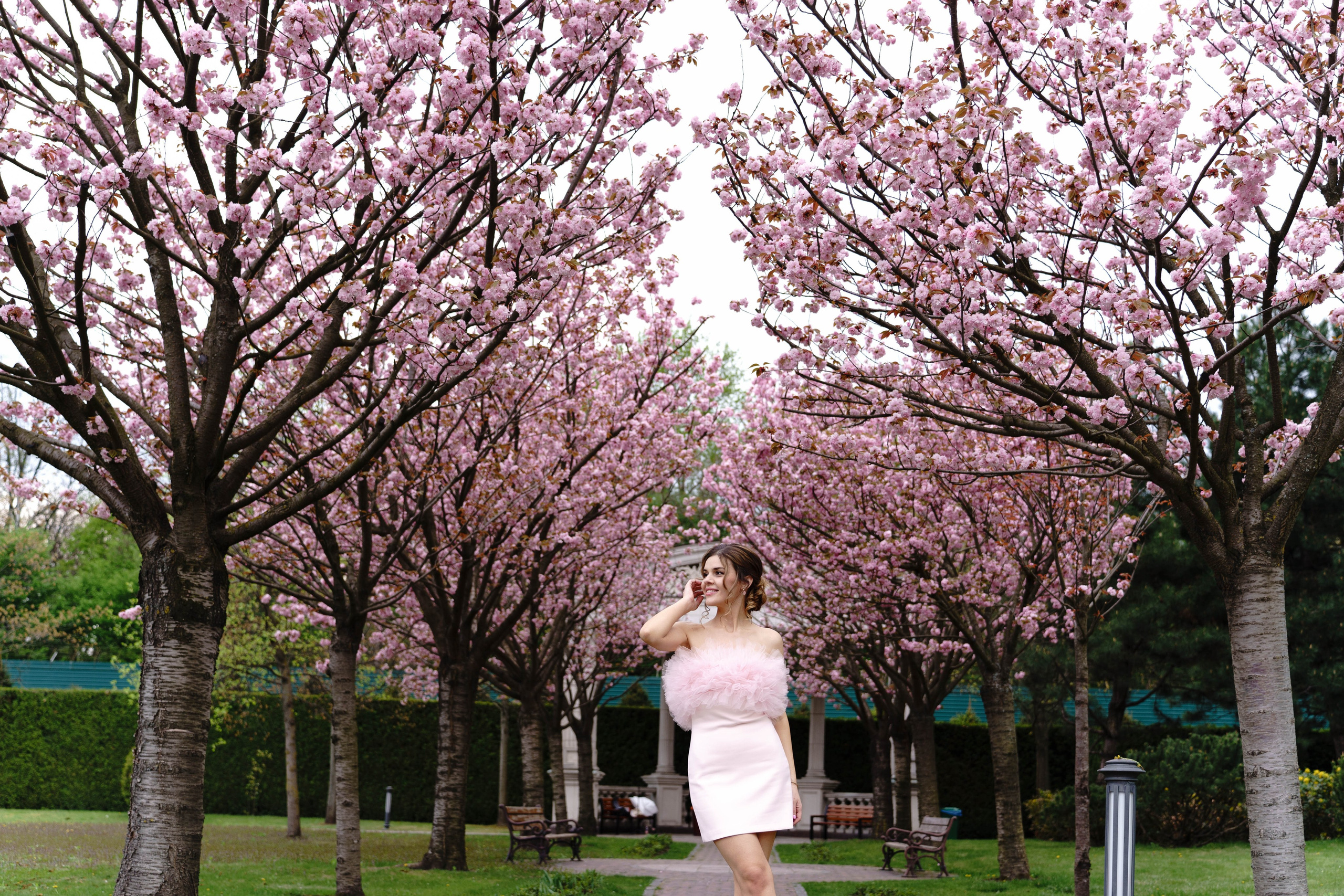 Фотосесія в сакурах. Family photographer in Kiev Natalia Shkavron