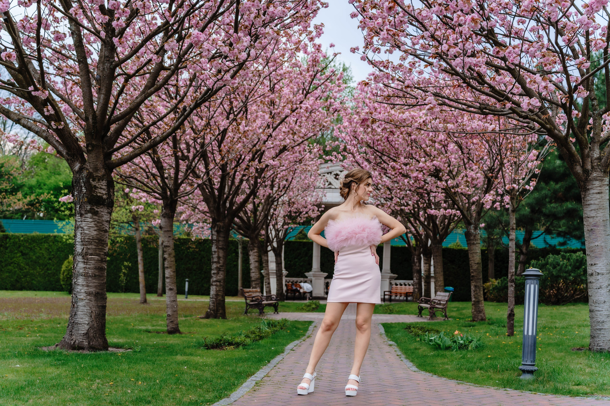 Фотосесія в сакурах. Family photographer in Kiev Natalia Shkavron