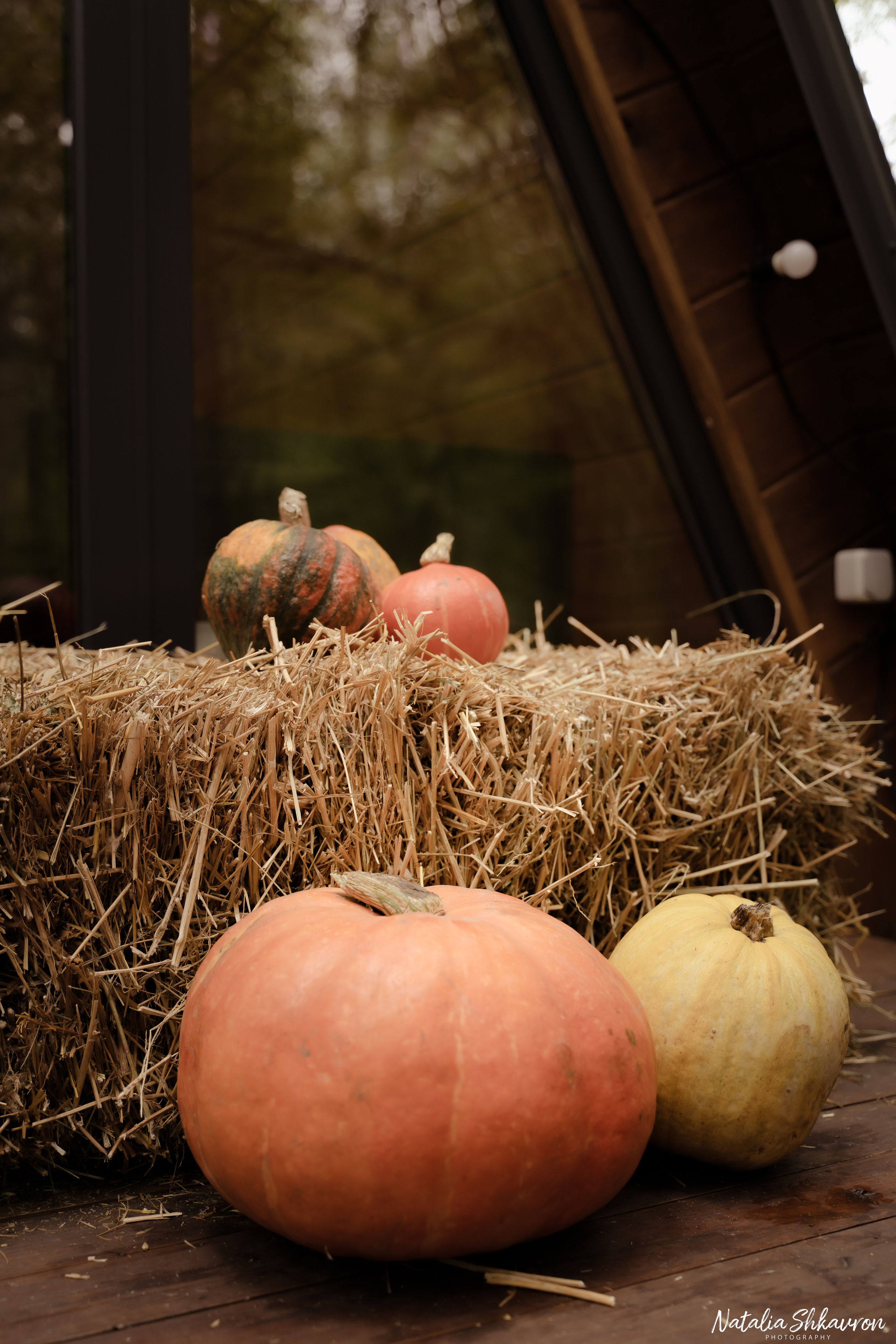 Сімейний відпочинок в заміському будиночку А. Сімейний фотограф Київ Наталія Шкаврон