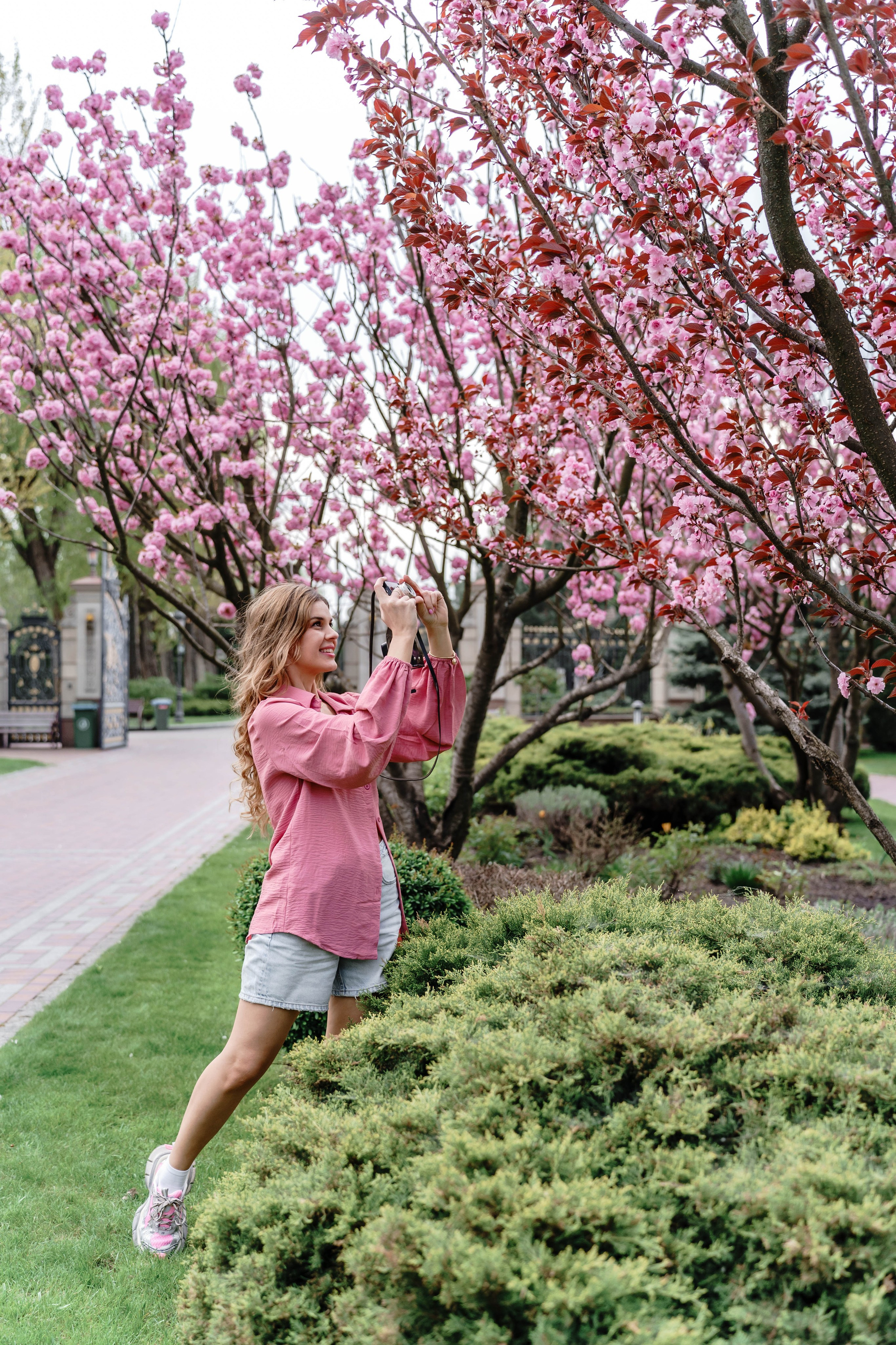 Фотосесія в сакурах. Family photographer in Kiev Natalia Shkavron