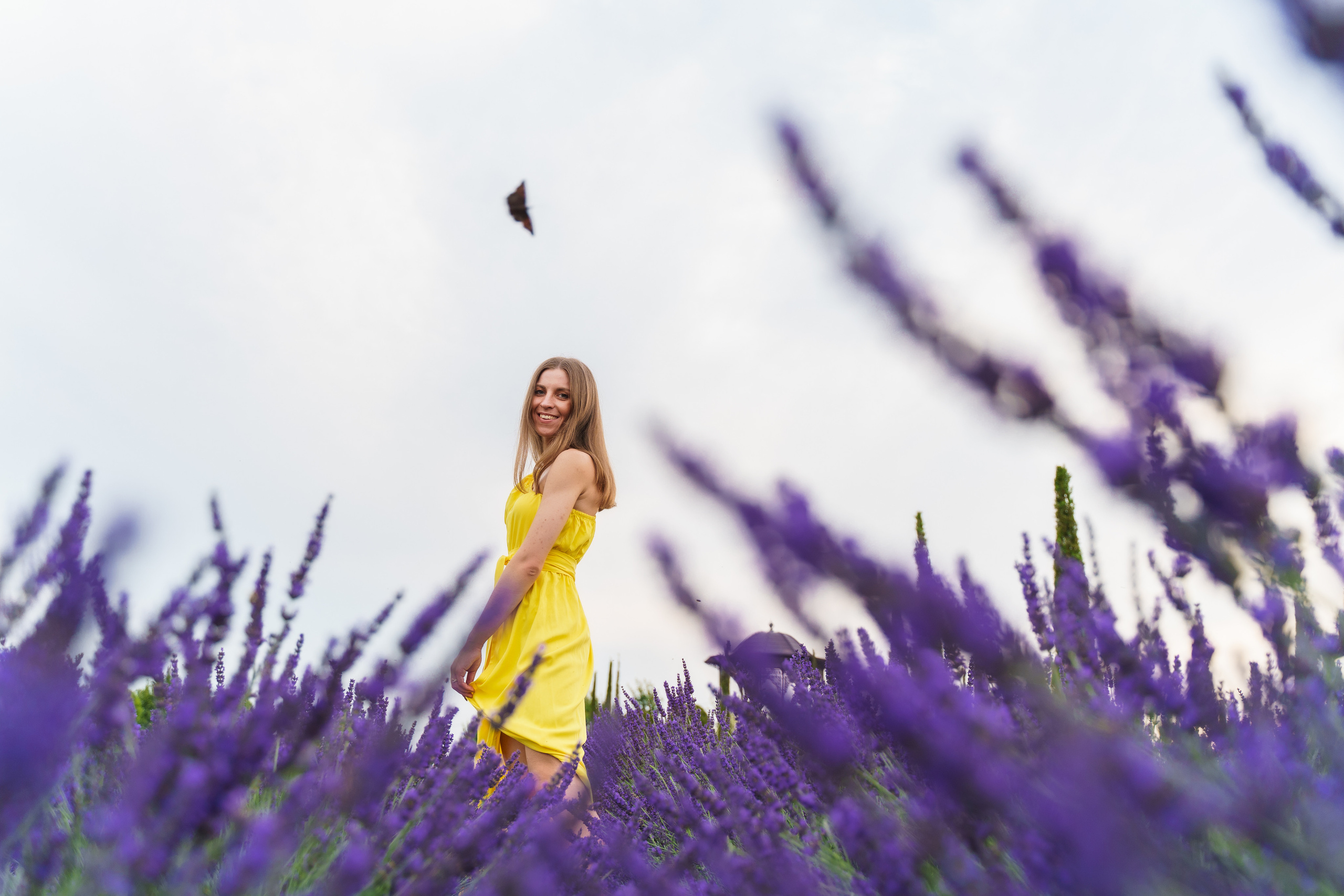 Фотосесія в лаванді у Добропарку. Family photographer in Kiev Natalia Shkavron