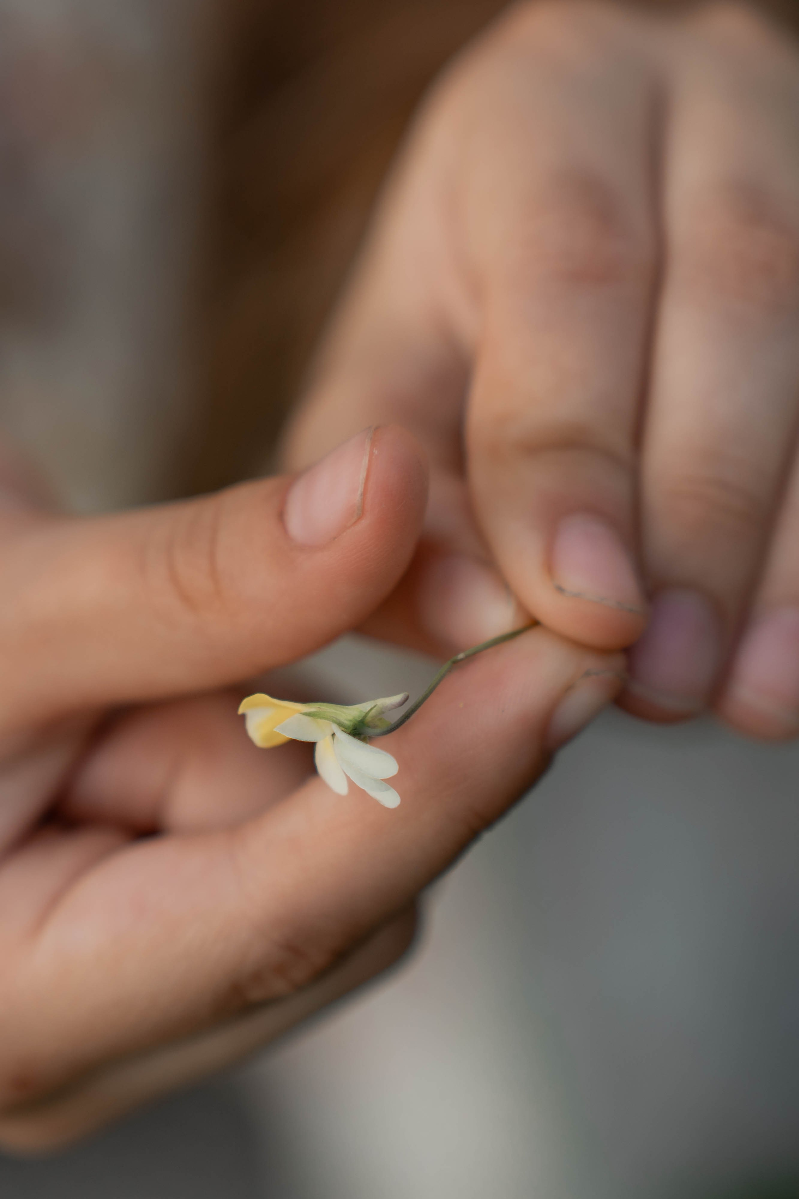 Сімейна фотосесія в Пирогово мами з двома донями. Сімейний фотограф Київ Наталія Шкаврон