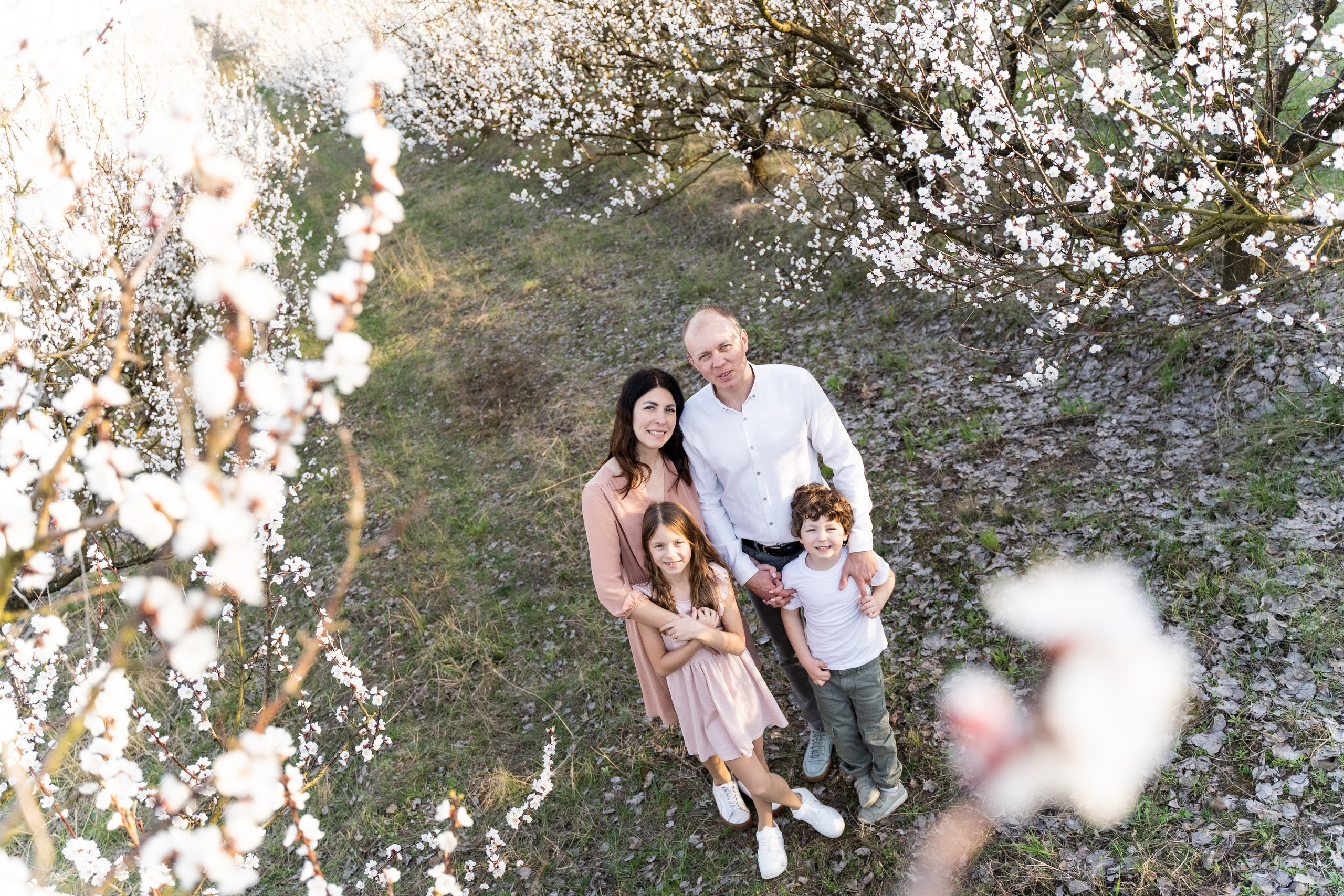 Сімейна фотосесія в абрикосовому саду