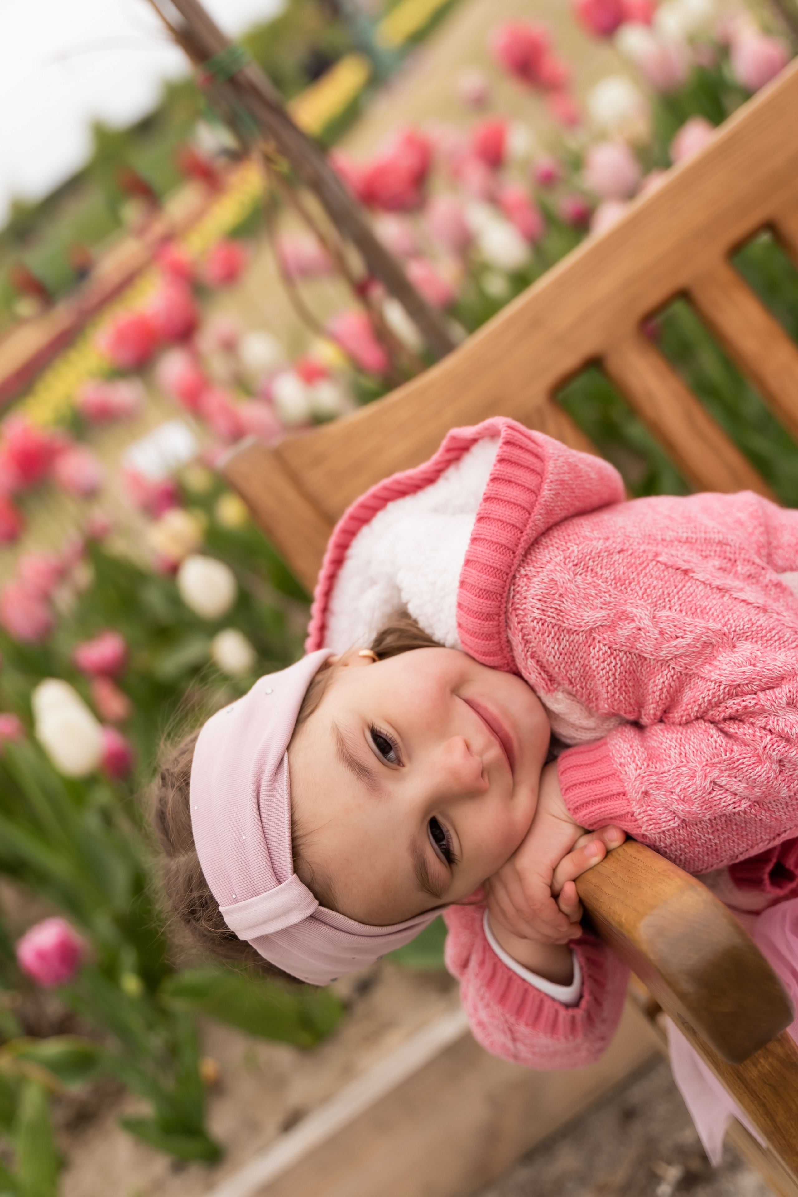 сімейна фотосесія в добропарку, Фотосесія в тюльпанах