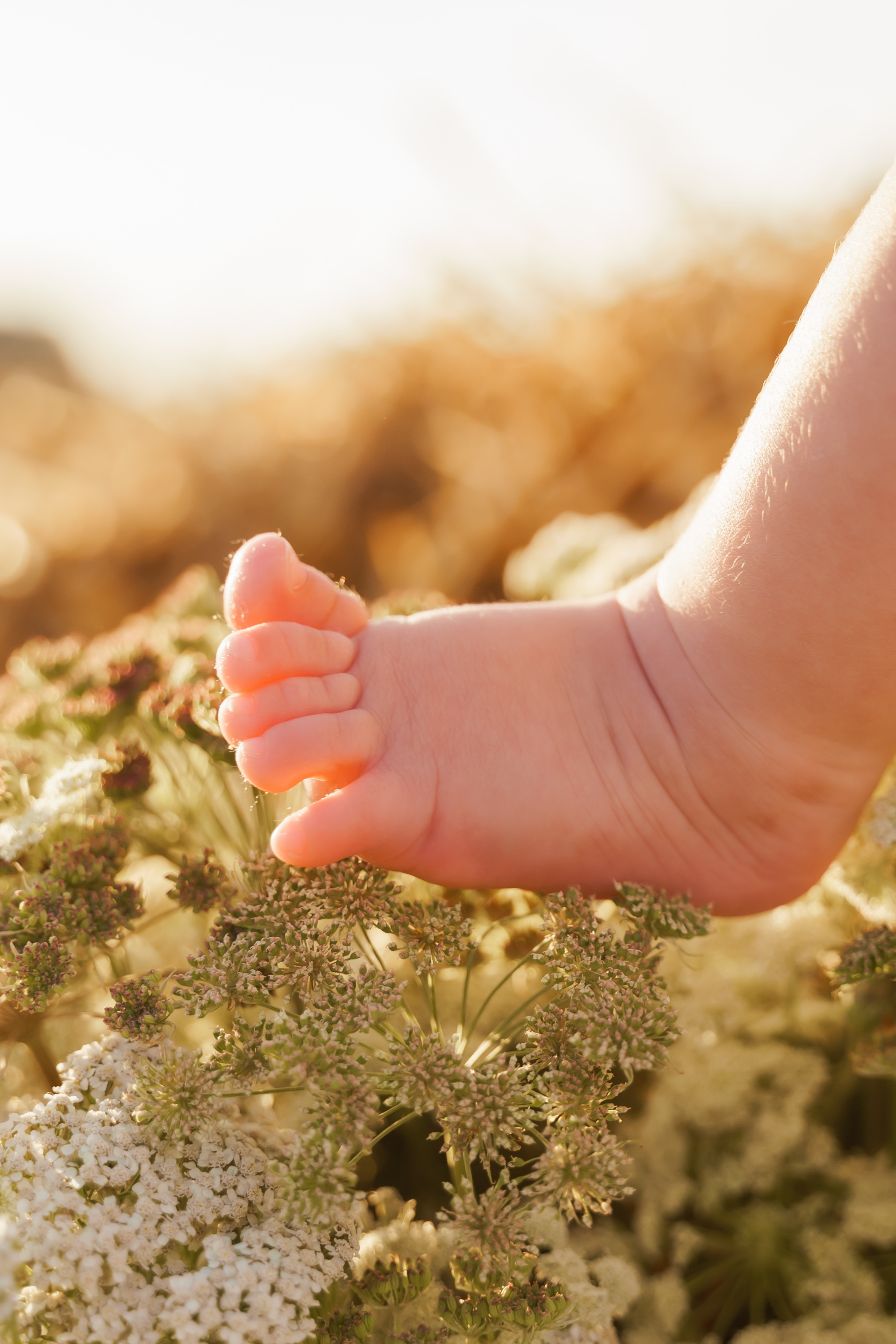 Фотосесія мама та доня в полі з тюками соломи. Сімейний фотограф Київ Наталія Шкаврон