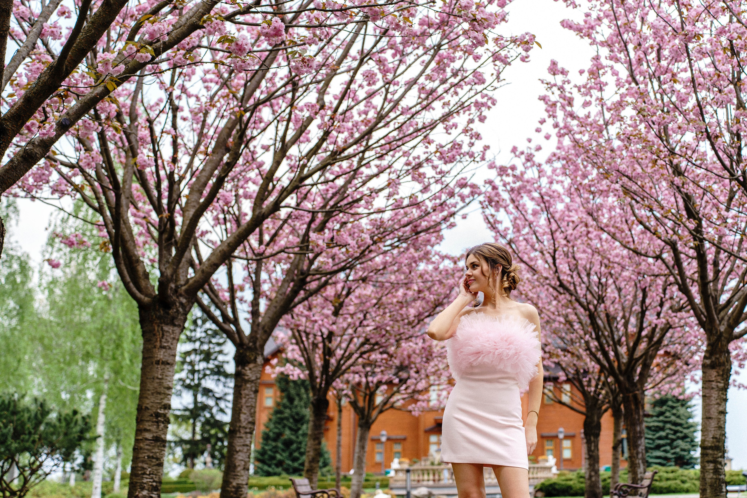 Фотосесія в сакурах. Family photographer in Kiev Natalia Shkavron