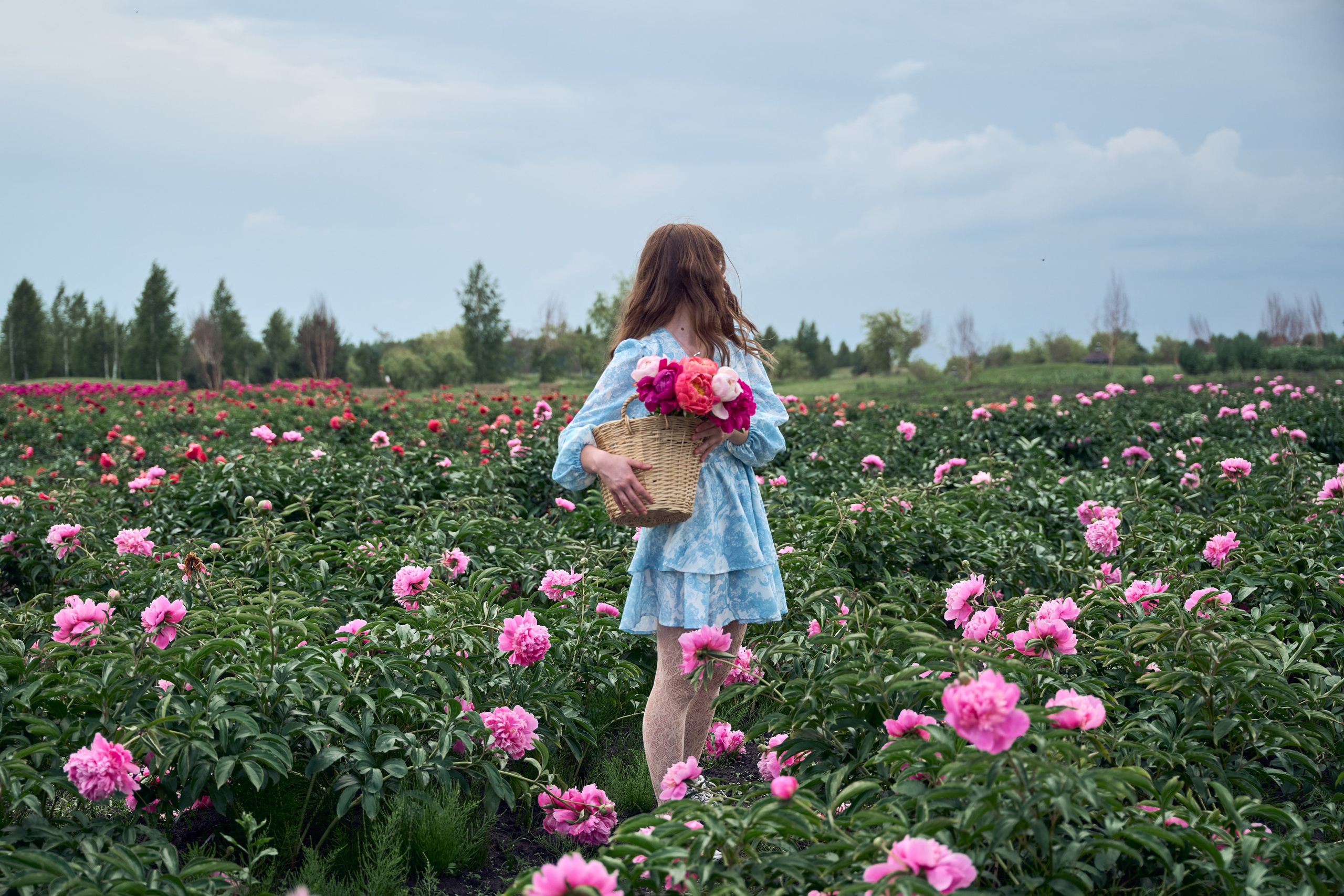 Сімейна фотосесія з піонами у Добропарку. Family photographer in Kiev Natalia Shkavron