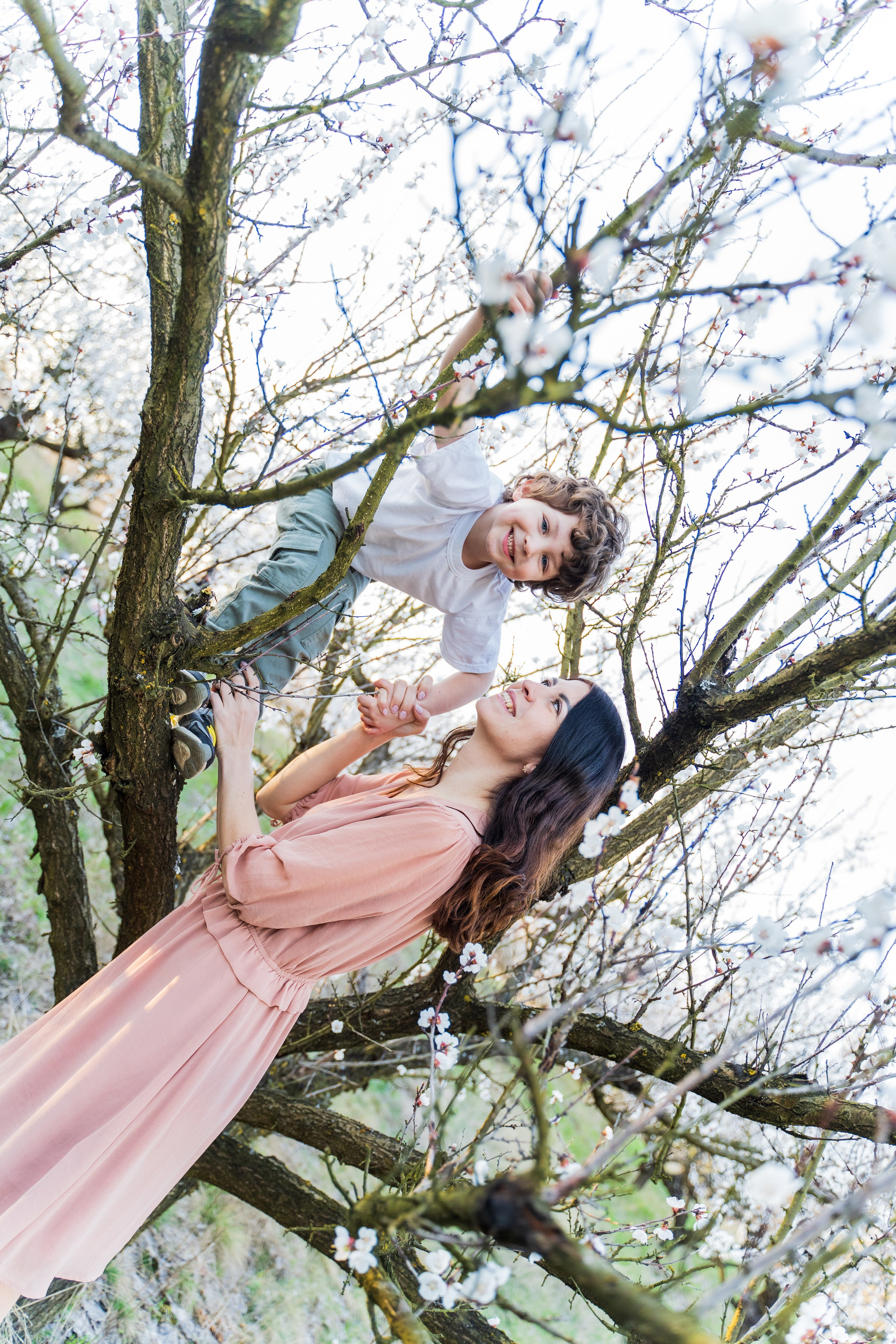 Сімейна фотосесія в абрикосовому саду, фотограф київ, сімейний фотограф київ, локація абрикосовий сад