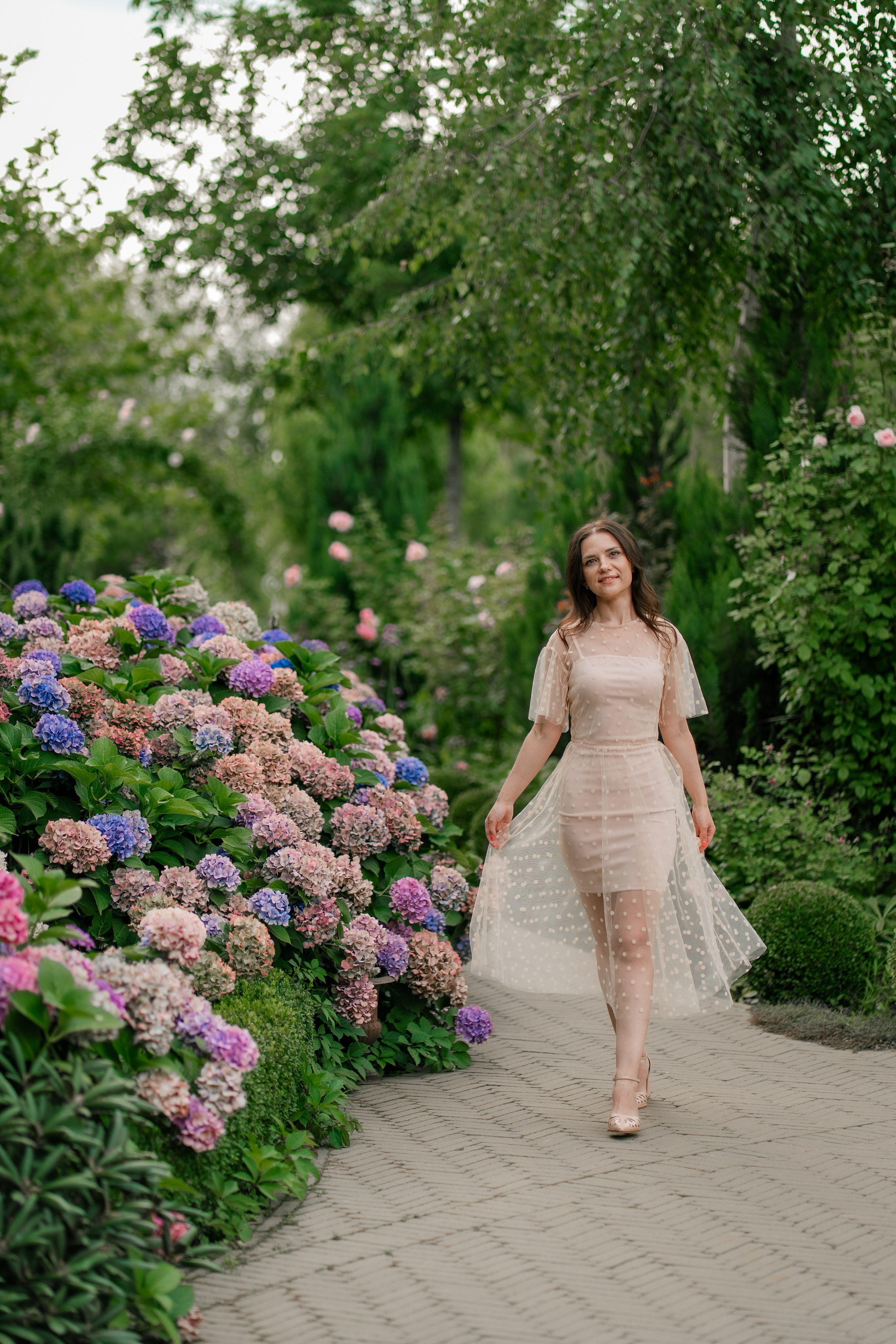 Фотосеся індивідуальна в гортензіях. Сімейний фотограф Київ Наталія Шкаврон