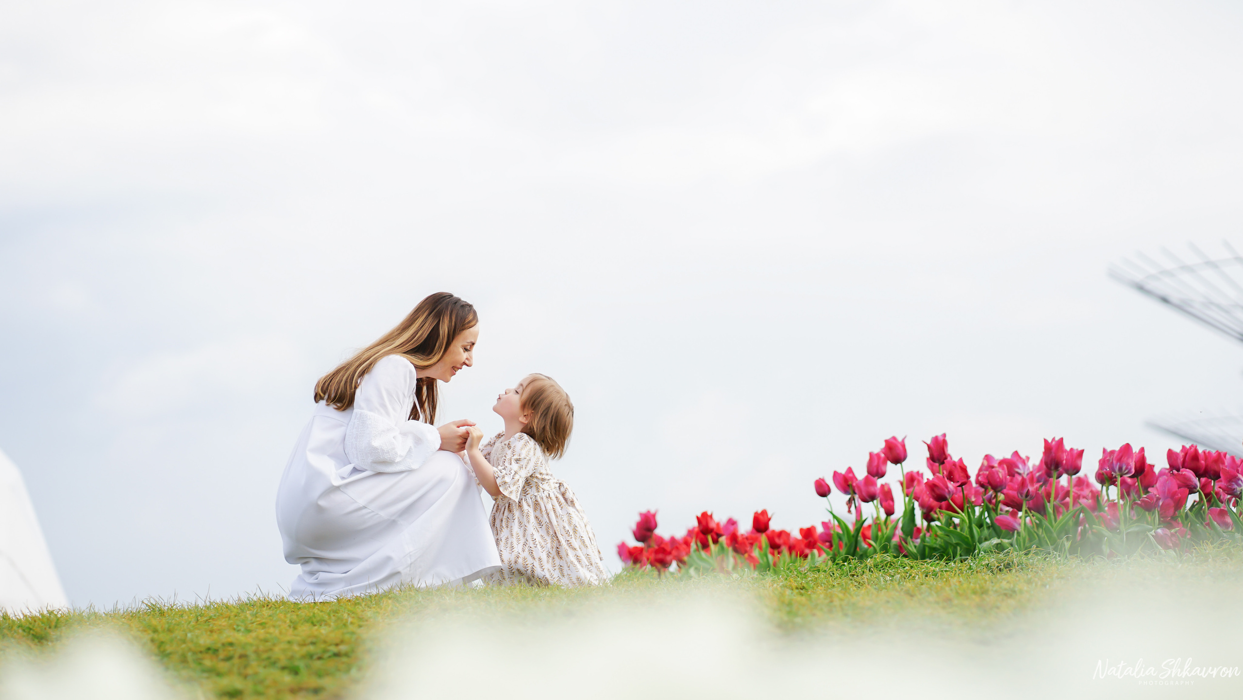 Сімейна фотосесія в тюльпанах. Сімейний фотограф Київ Наталія Шкаврон