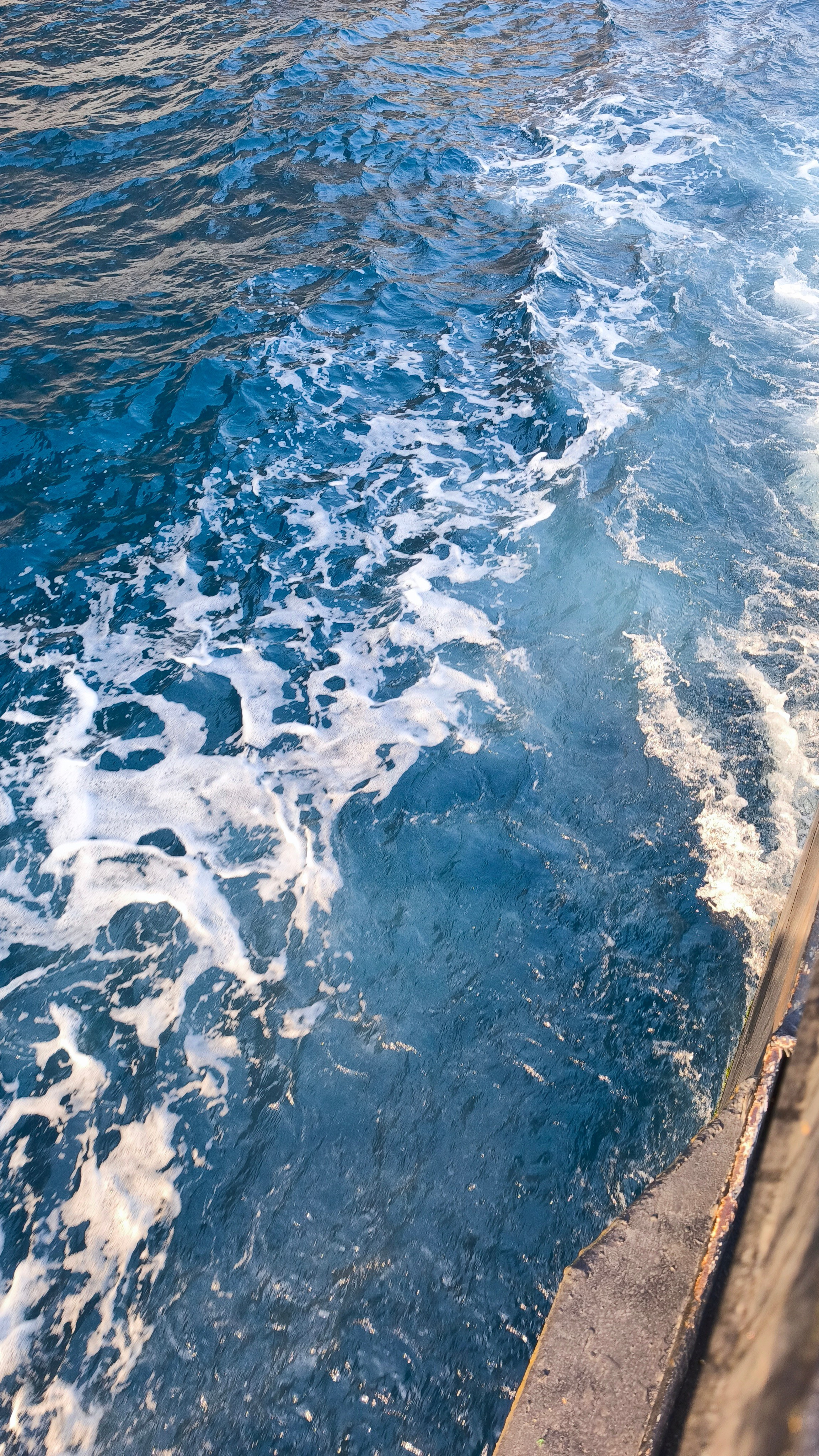 Морські шпалери 2025. Сімейний фотограф Київ Наталія Шкаврон