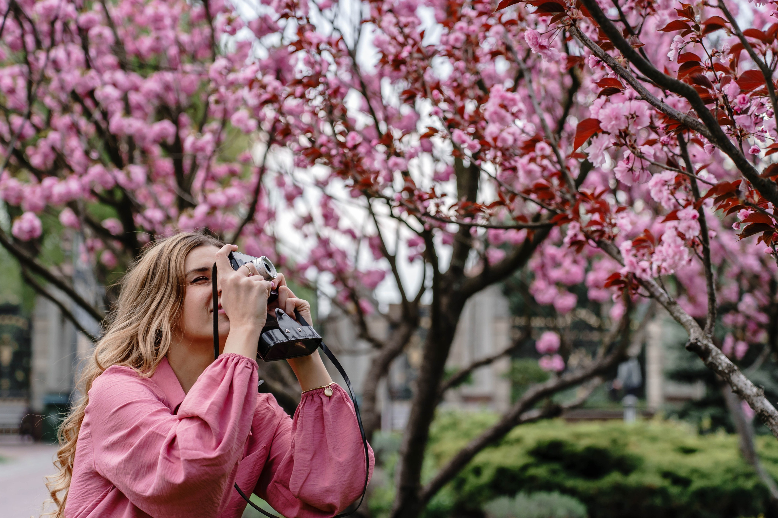 Фотосесія в сакурах. Family photographer in Kiev Natalia Shkavron
