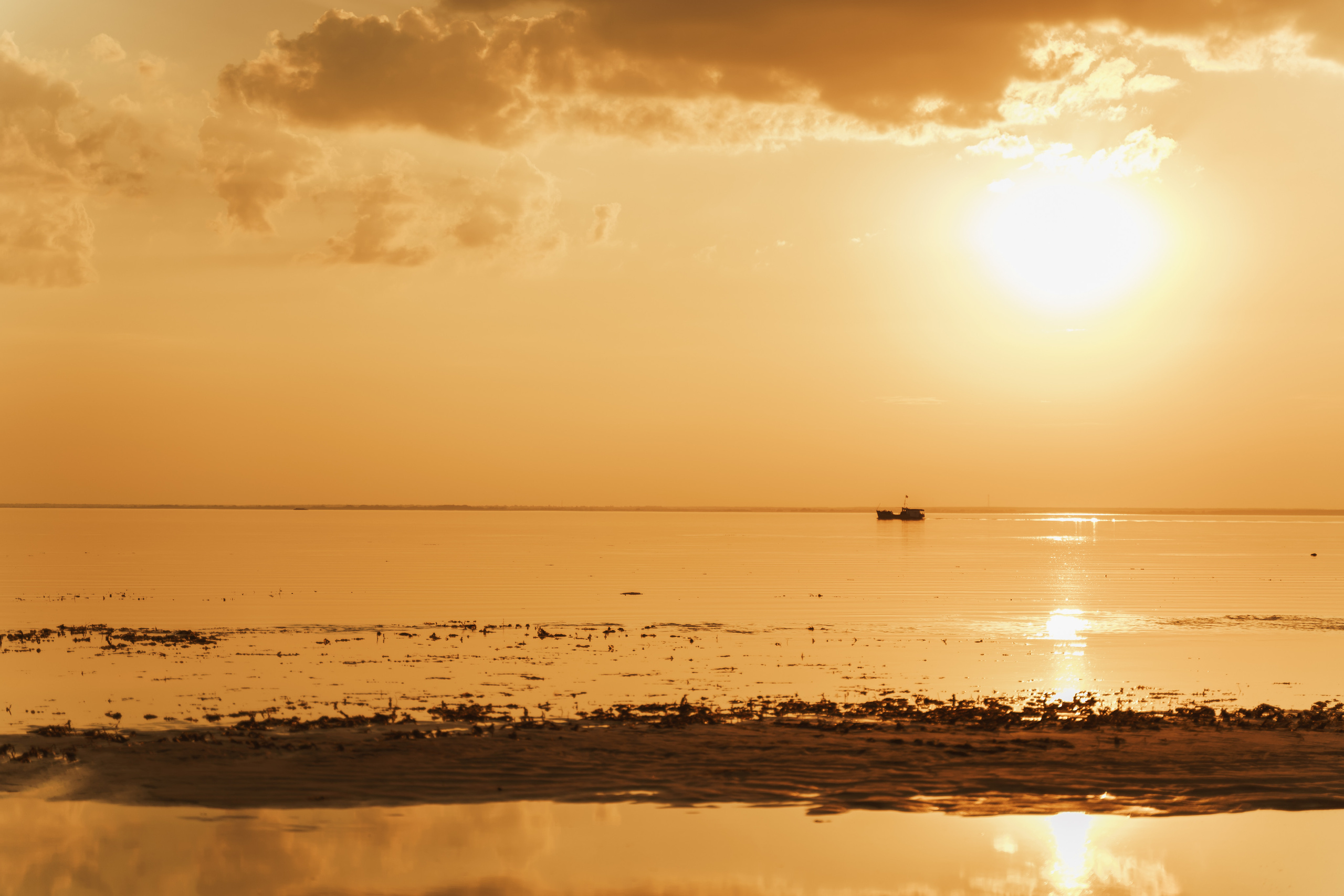 Фотосесія вагітності біля Київського моря. Сімейний фотограф Київ Наталія Шкаврон