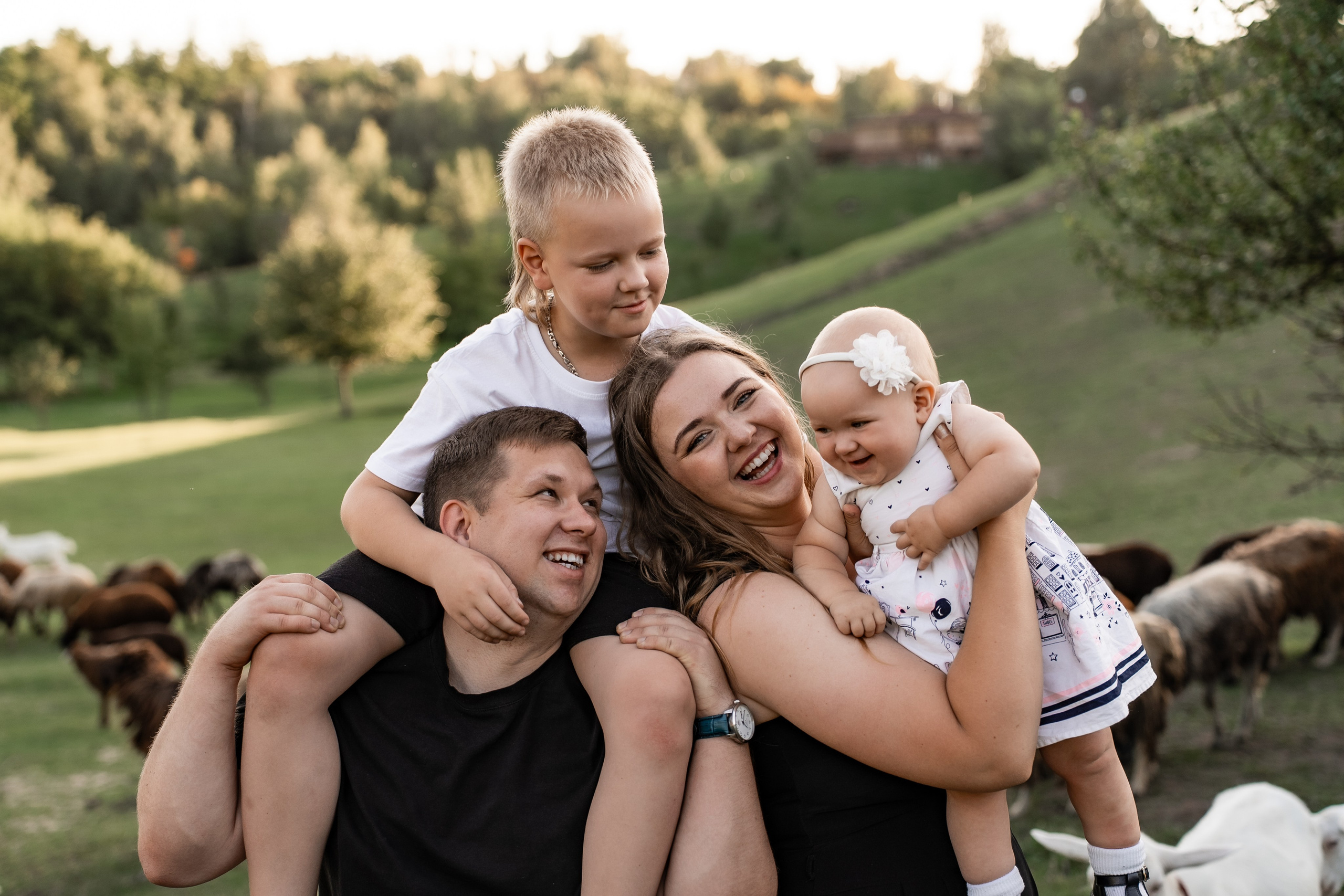 Сімейна фотосесія на овечій фермі. Сімейний фотограф Київ Наталія Шкаврон