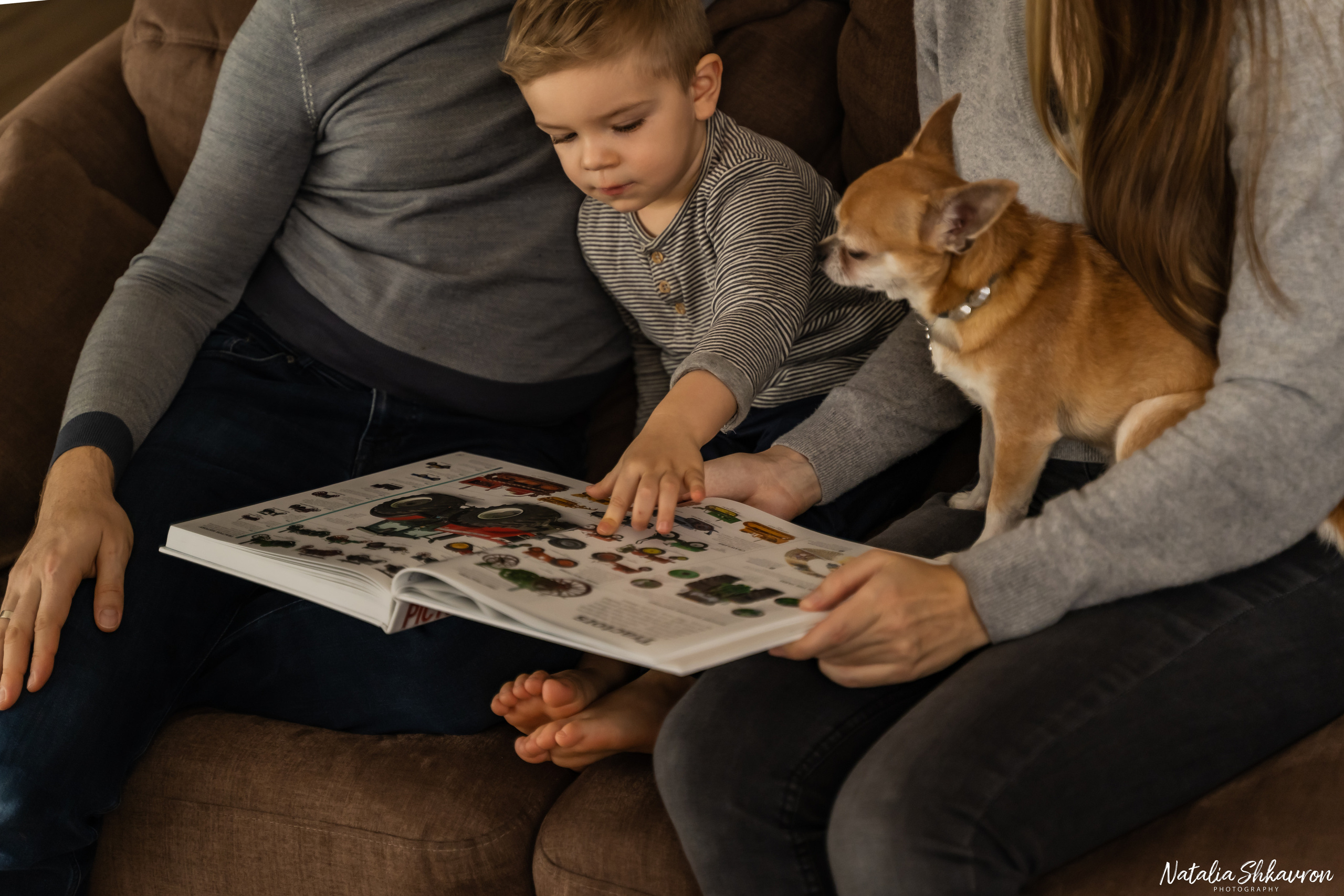 Новорічна фотосесія вдома. Сімейний фотограф Київ Наталія Шкаврон