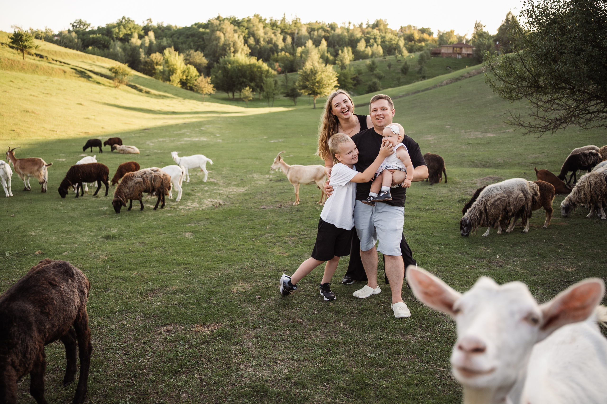 Святкування 1-го дня народження на овечій фермі. Family photographer in Kiev Natalia Shkavron