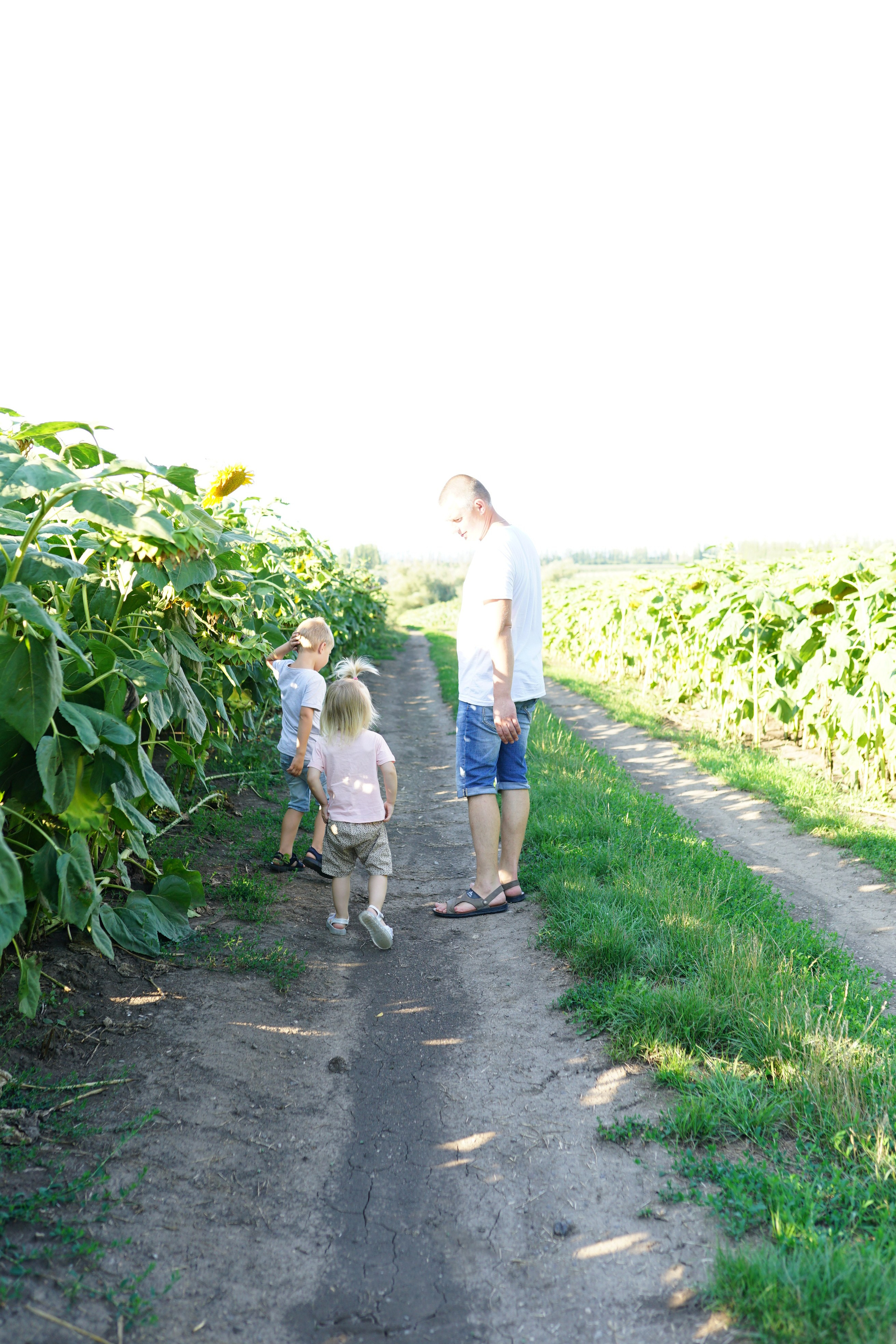 Сімейна фотосесія з кавунами. Family photographer in Kiev Natalia Shkavron