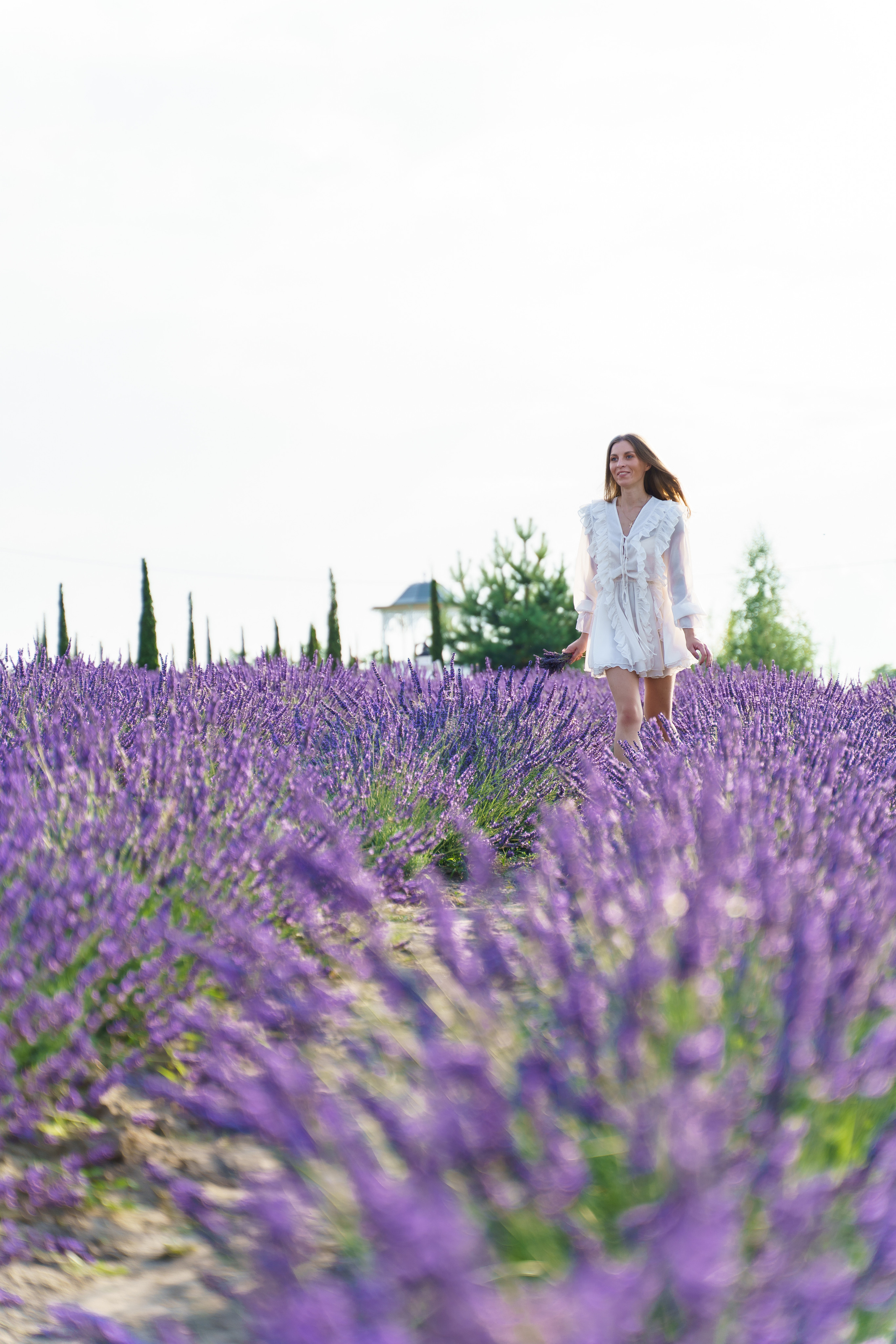 Фотосесія в лаванді у Добропарку. Family photographer in Kiev Natalia Shkavron