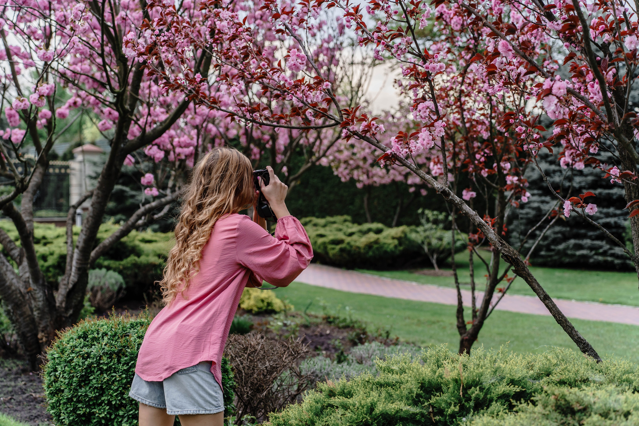 Фотосесія в сакурах. Family photographer in Kiev Natalia Shkavron
