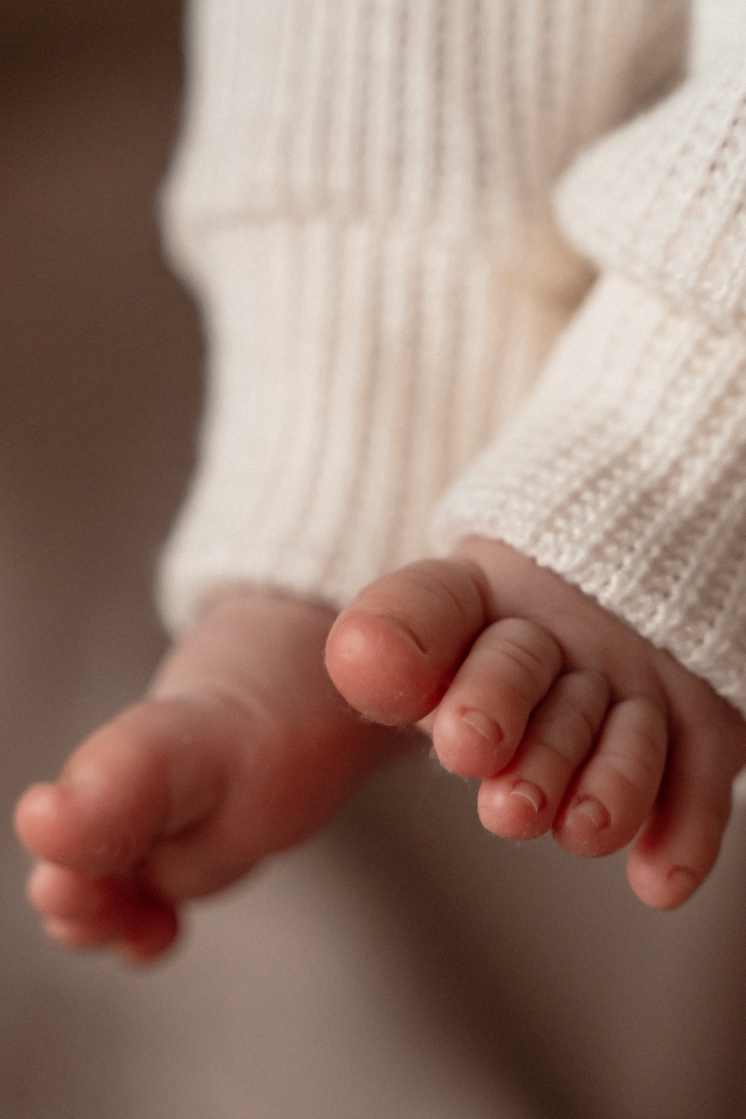 Домашня фотосесія. Сімейний фотограф Київ Наталія Шкаврон