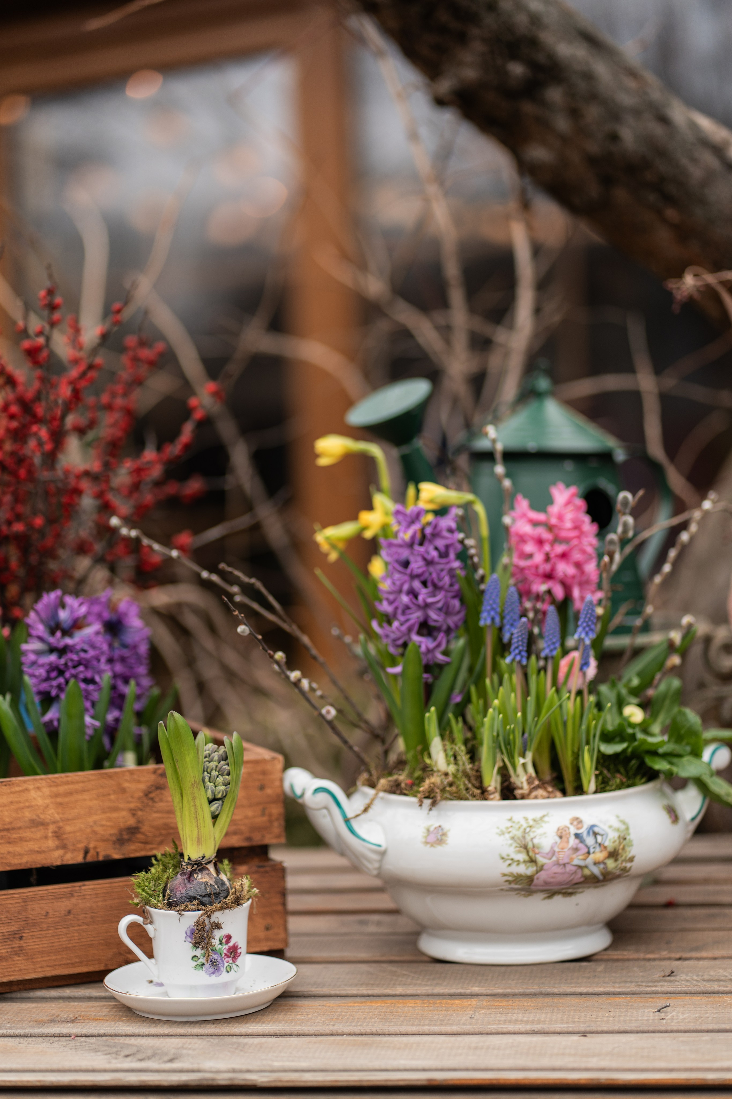 Весняні фотошпалери 2026. Сімейний фотограф Київ Наталія Шкаврон