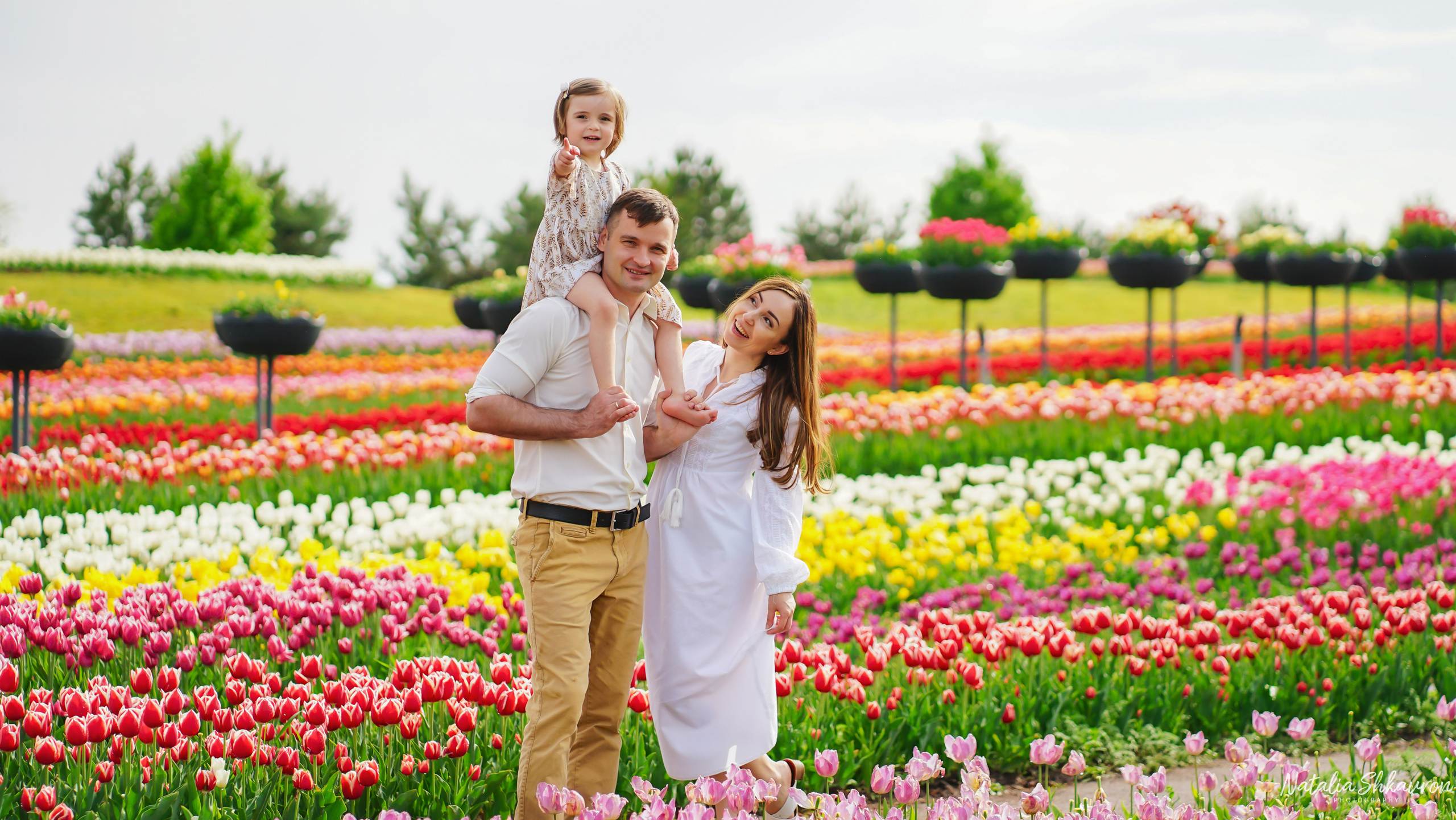 Сімейна фотосесія в тюльпанах. Сімейний фотограф Київ Наталія Шкаврон