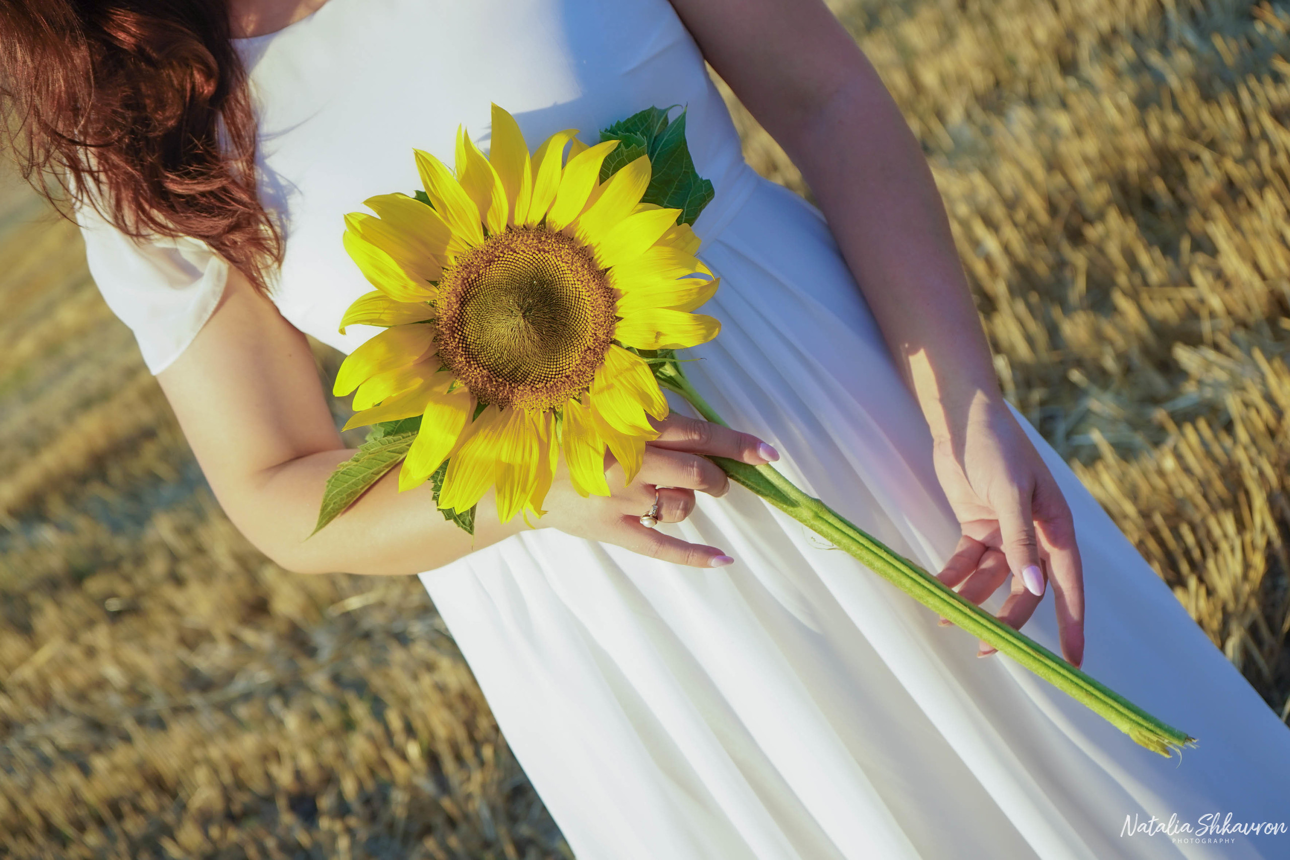 Сімейна фотосесія в полі з рулонами соломи. Сімейний фотограф Київ Наталія Шкаврон