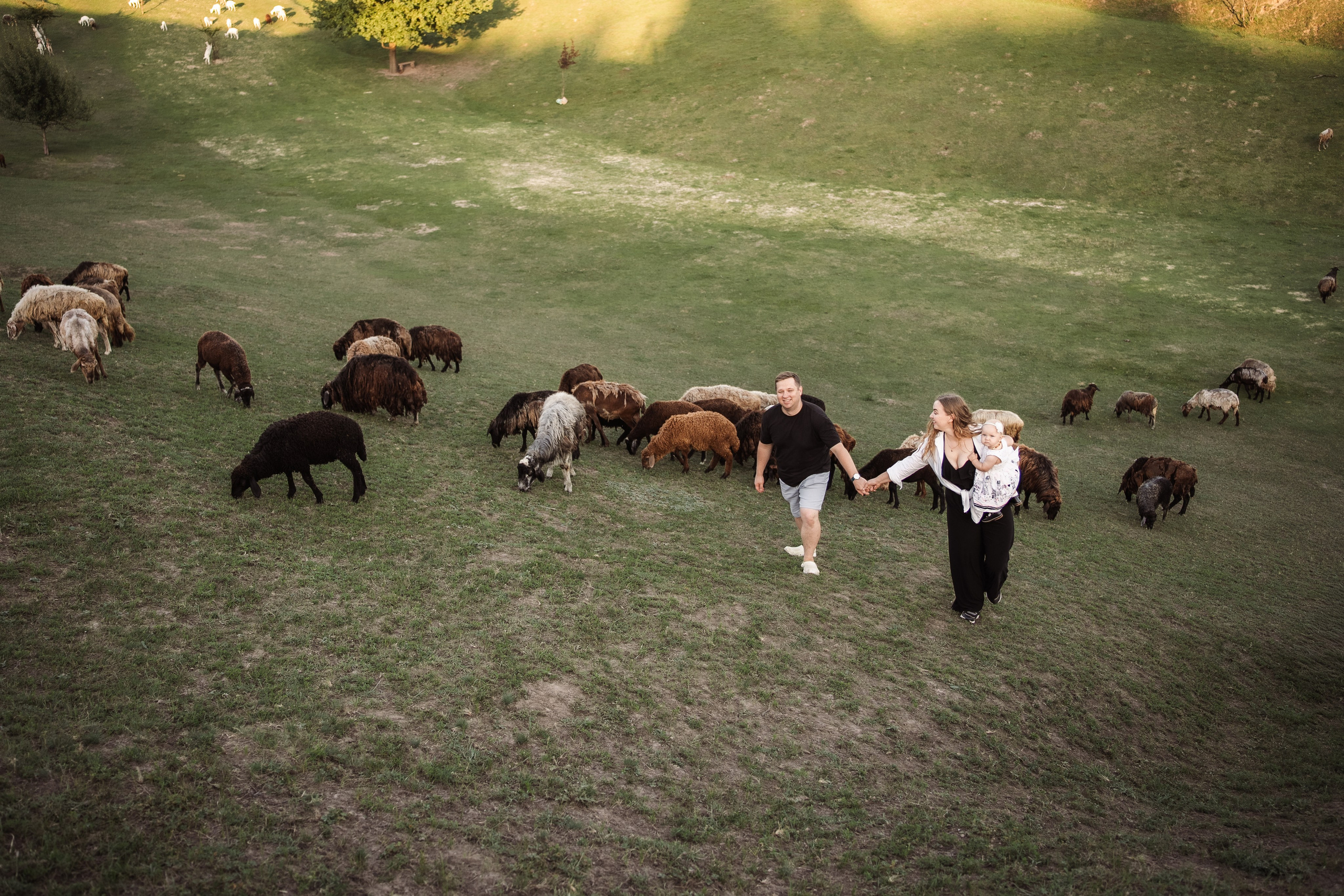 Святкування 1-го дня народження на овечій фермі. Family photographer in Kiev Natalia Shkavron