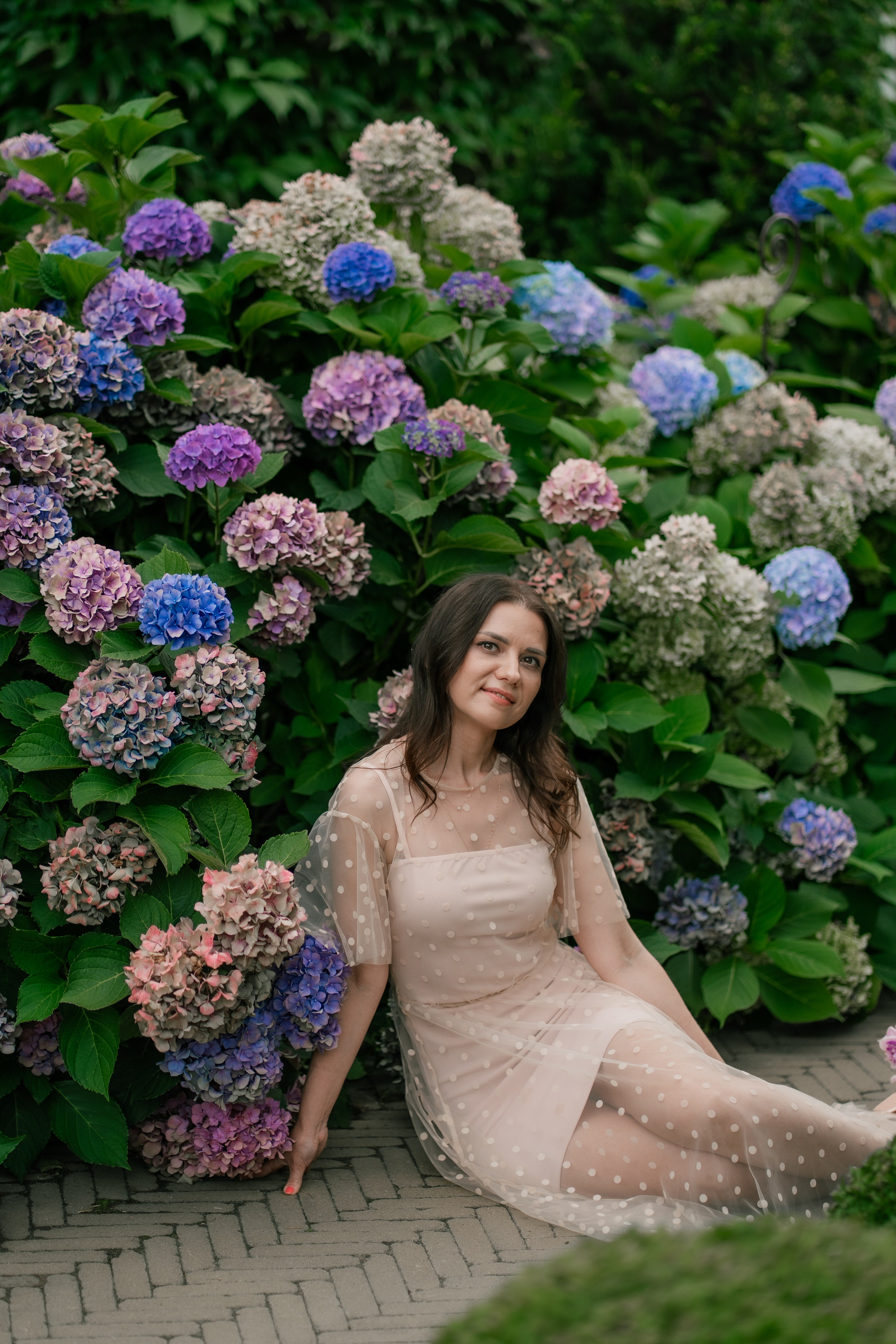 Фотосеся індивідуальна в гортензіях. Сімейний фотограф Київ Наталія Шкаврон