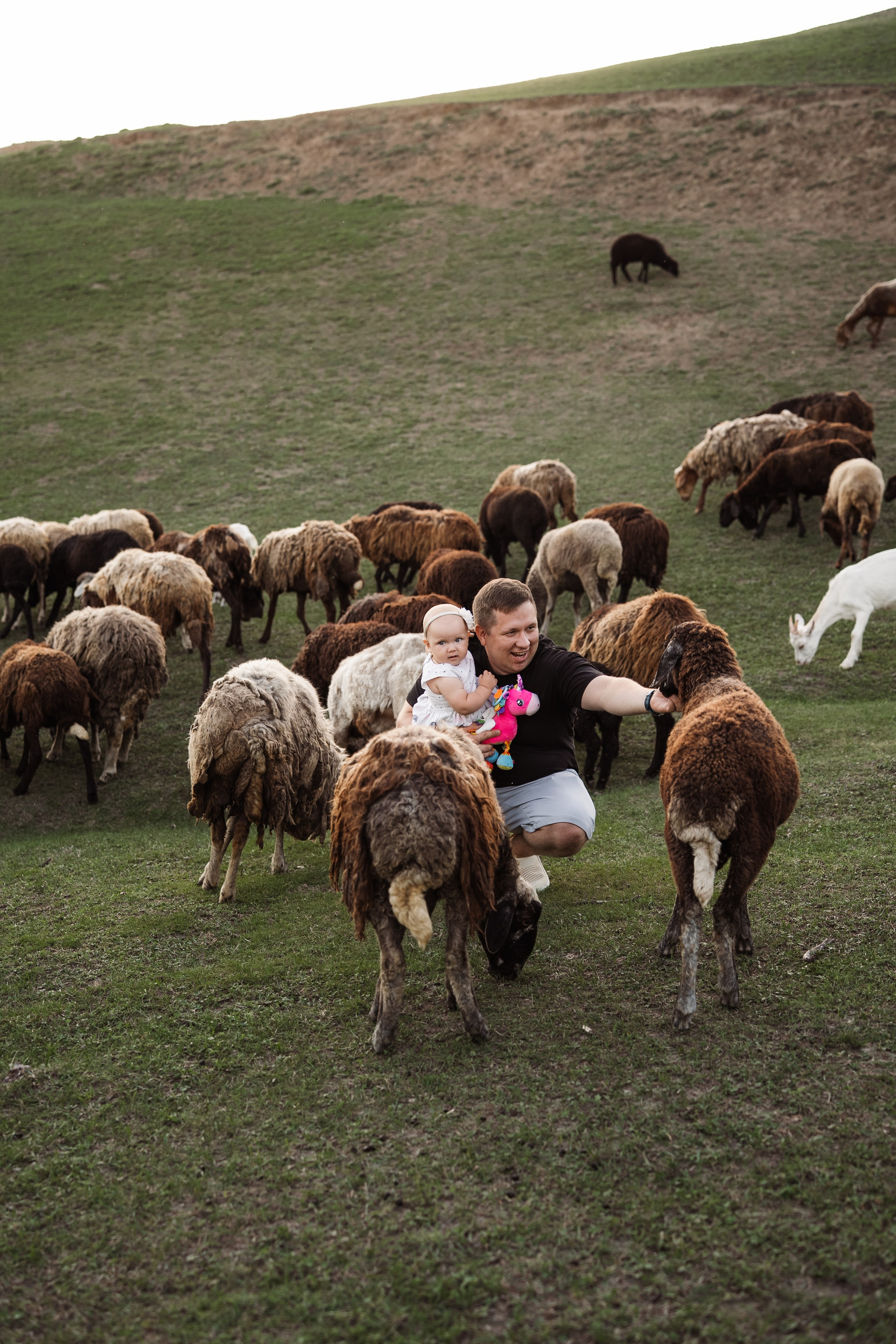 Святкування 1-го дня народження на овечій фермі. Family photographer in Kiev Natalia Shkavron