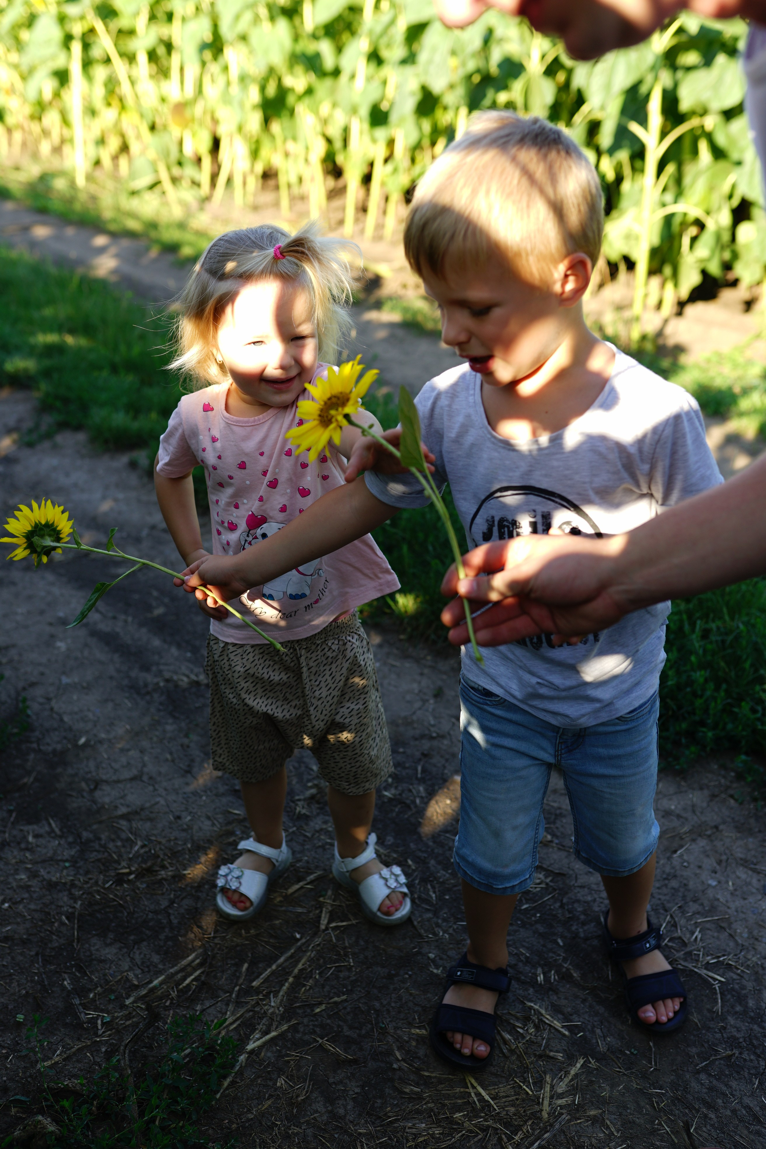Сімейна фотосесія з кавунами. Family photographer in Kiev Natalia Shkavron