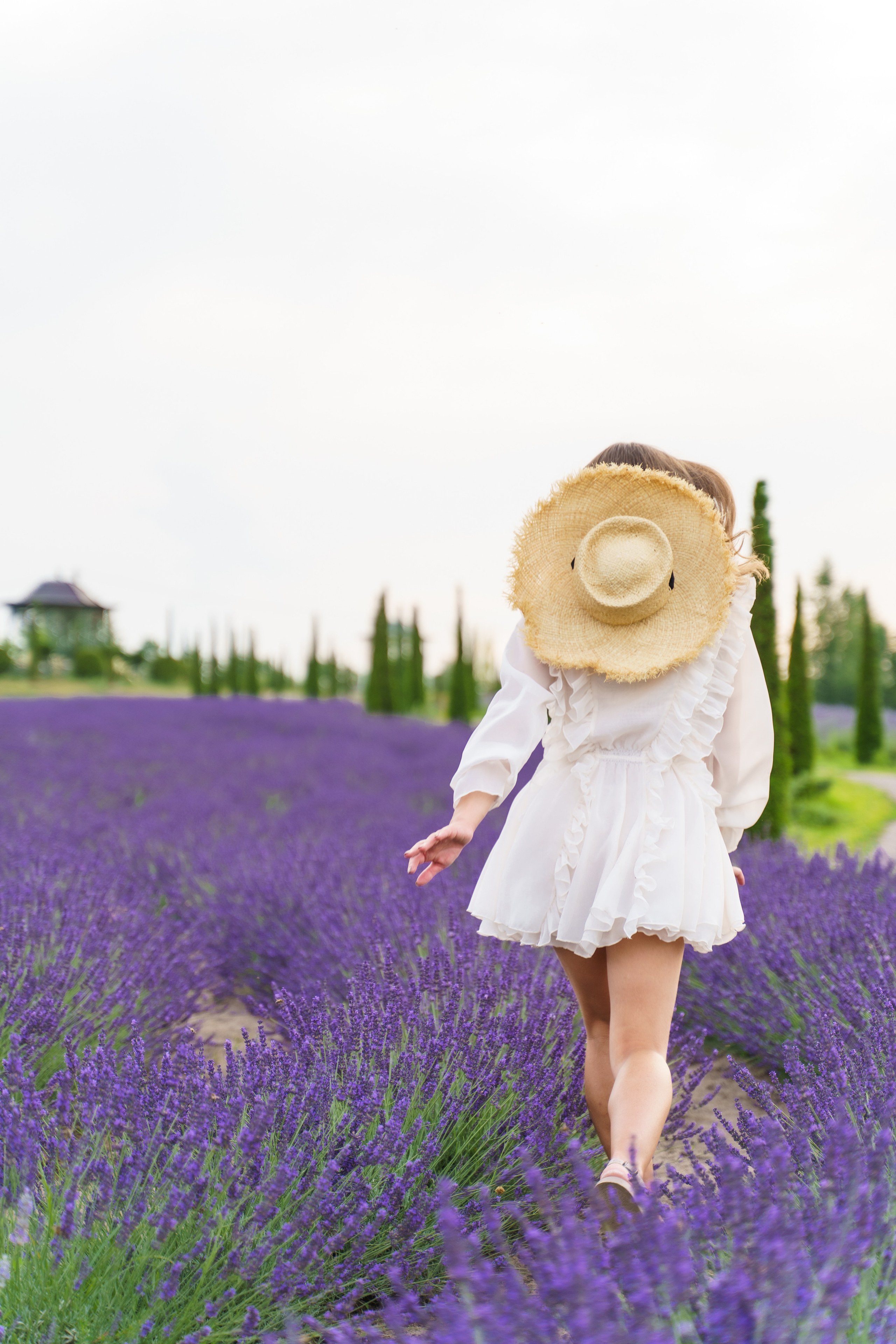 Фотосесія в лаванді у Добропарку. Family photographer in Kiev Natalia Shkavron