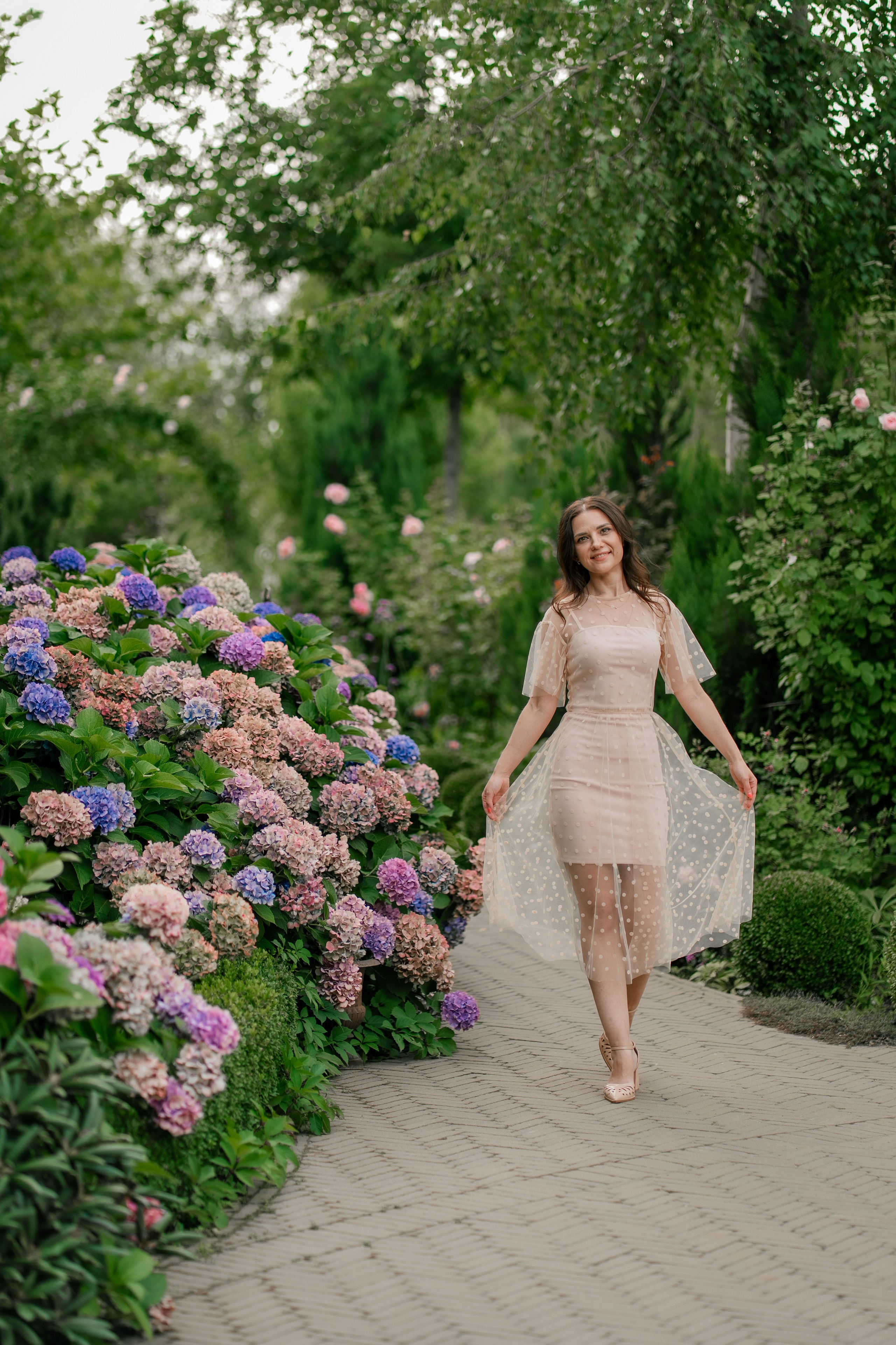 Фотосеся індивідуальна в гортензіях. Сімейний фотограф Київ Наталія Шкаврон