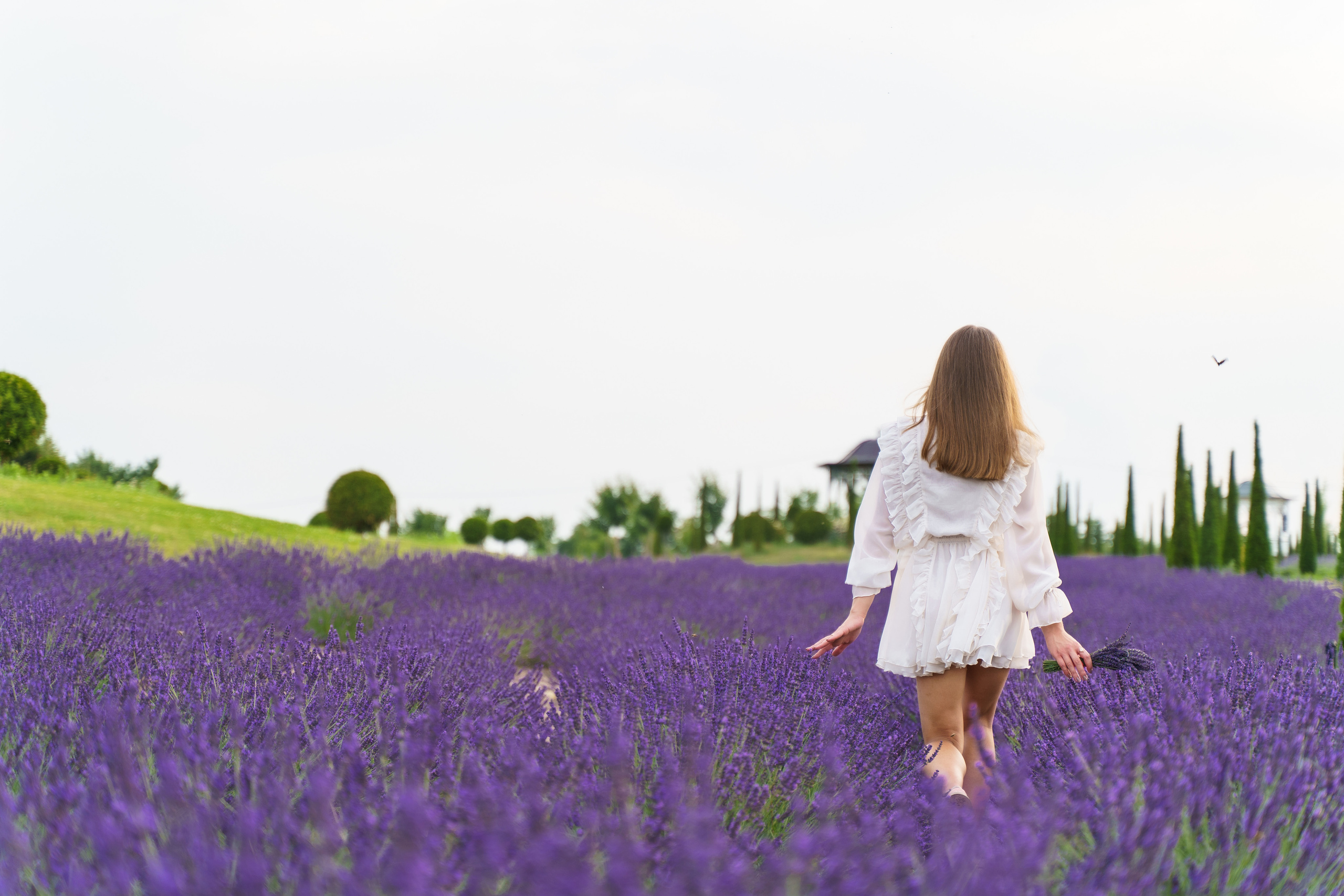 Фотосесія в лаванді у Добропарку. Family photographer in Kiev Natalia Shkavron