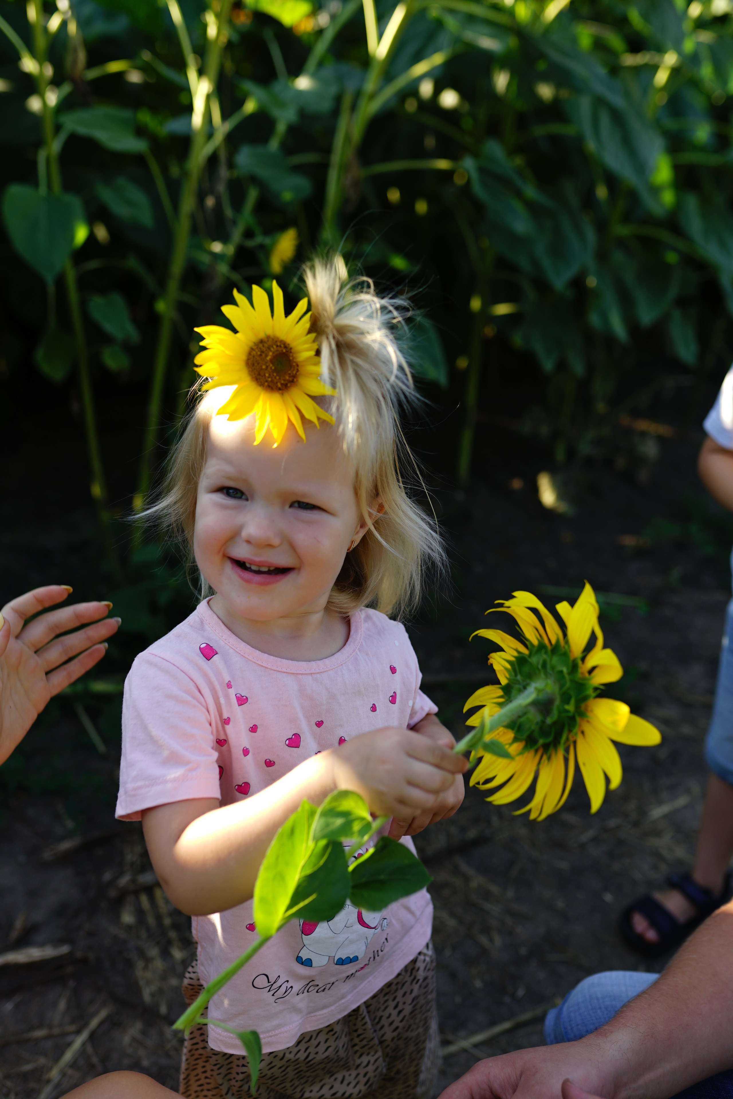 Сімейна фотосесія з кавунами. Family photographer in Kiev Natalia Shkavron