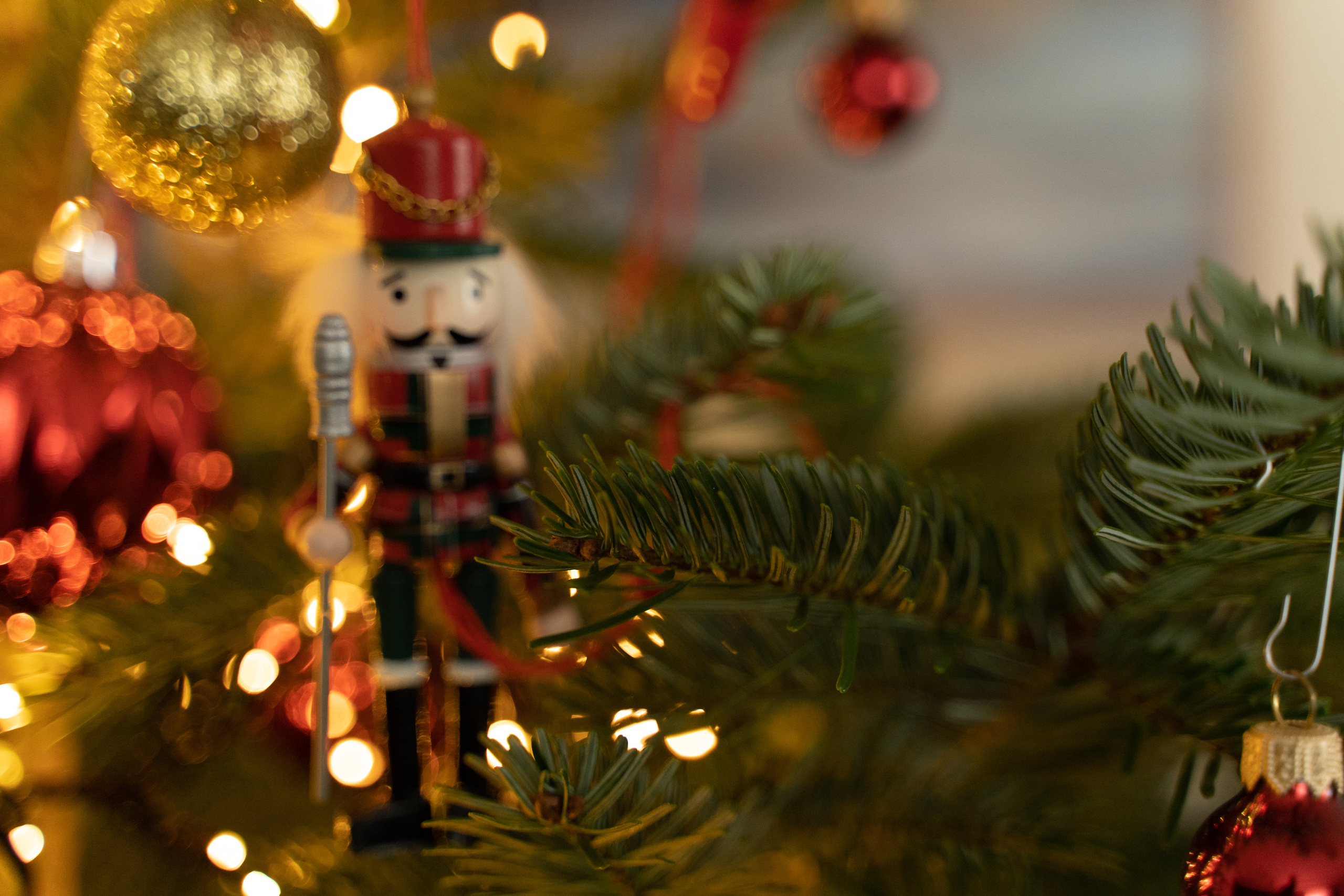 Новорічна домашня фотосесія. Сімейний фотограф Київ Наталія Шкаврон