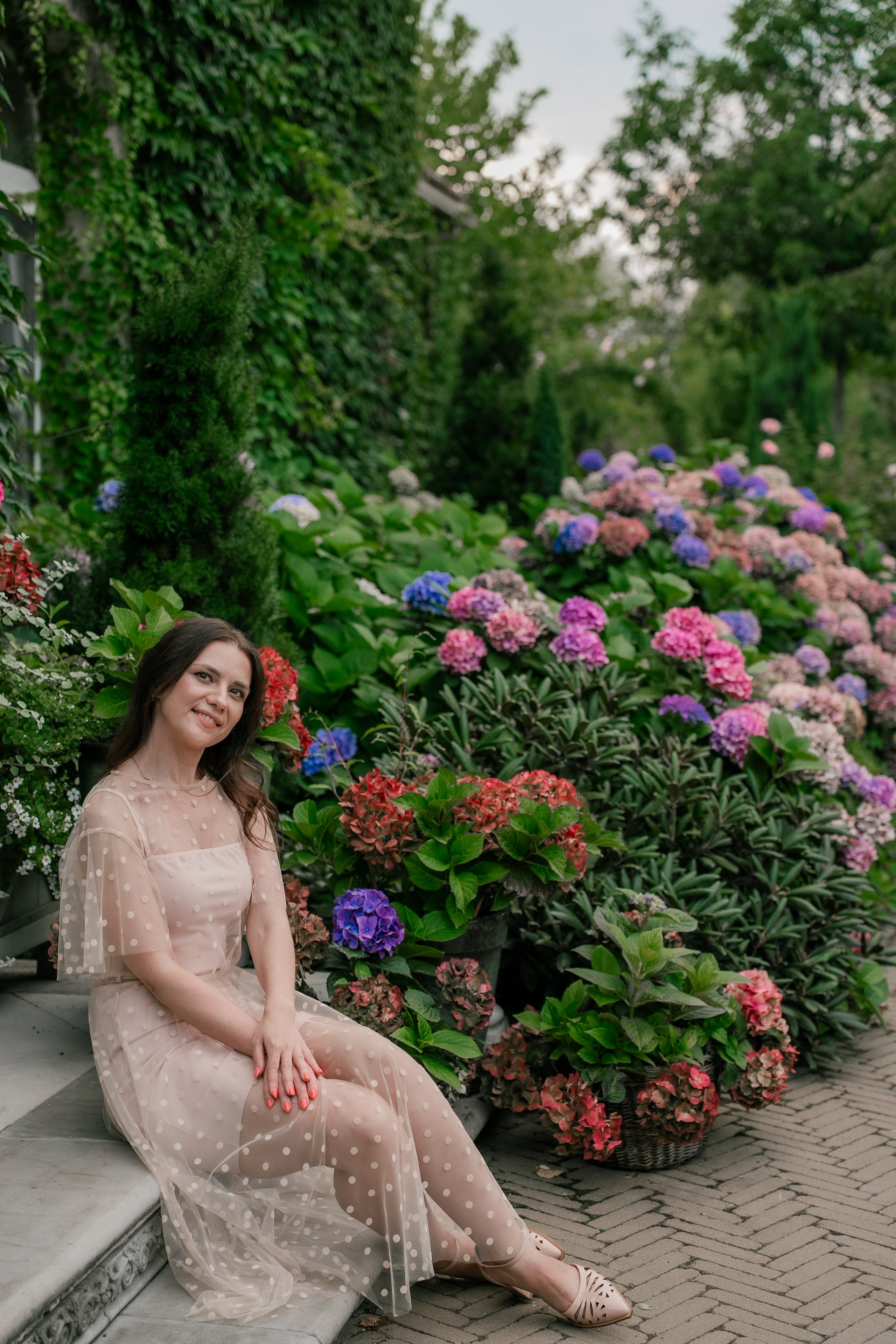 Фотосеся індивідуальна в гортензіях. Сімейний фотограф Київ Наталія Шкаврон