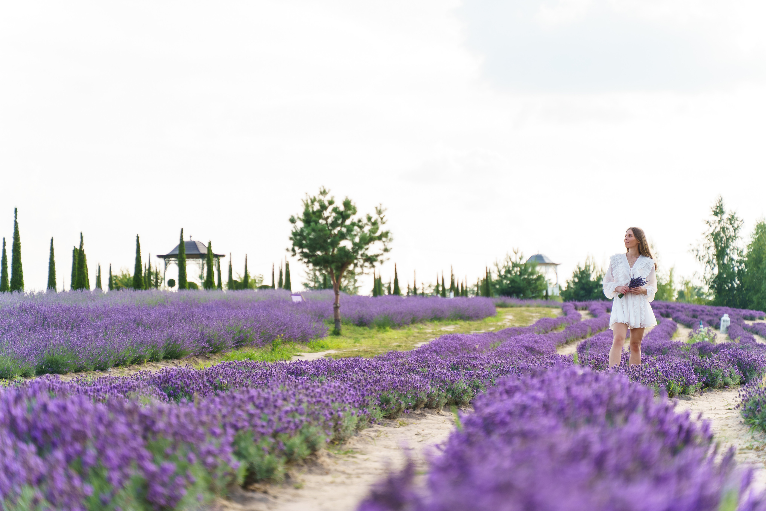 Фотосесія в лаванді у Добропарку. Family photographer in Kiev Natalia Shkavron