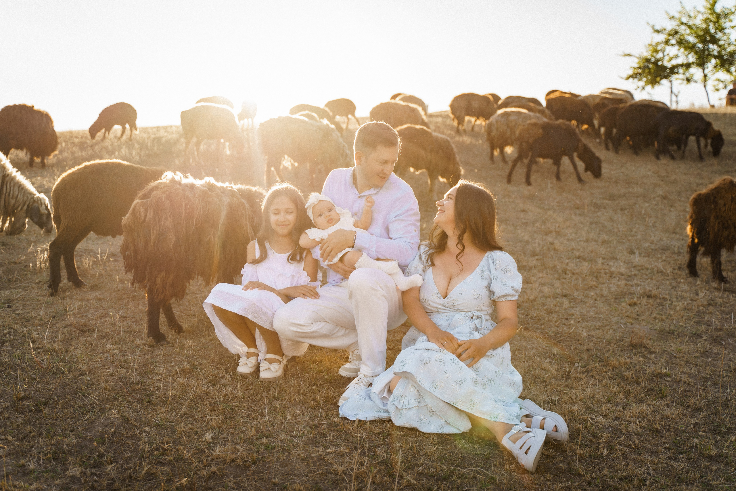 Сімейна фотосесія на Sheepland. Сімейний фотограф Київ Наталія Шкаврон