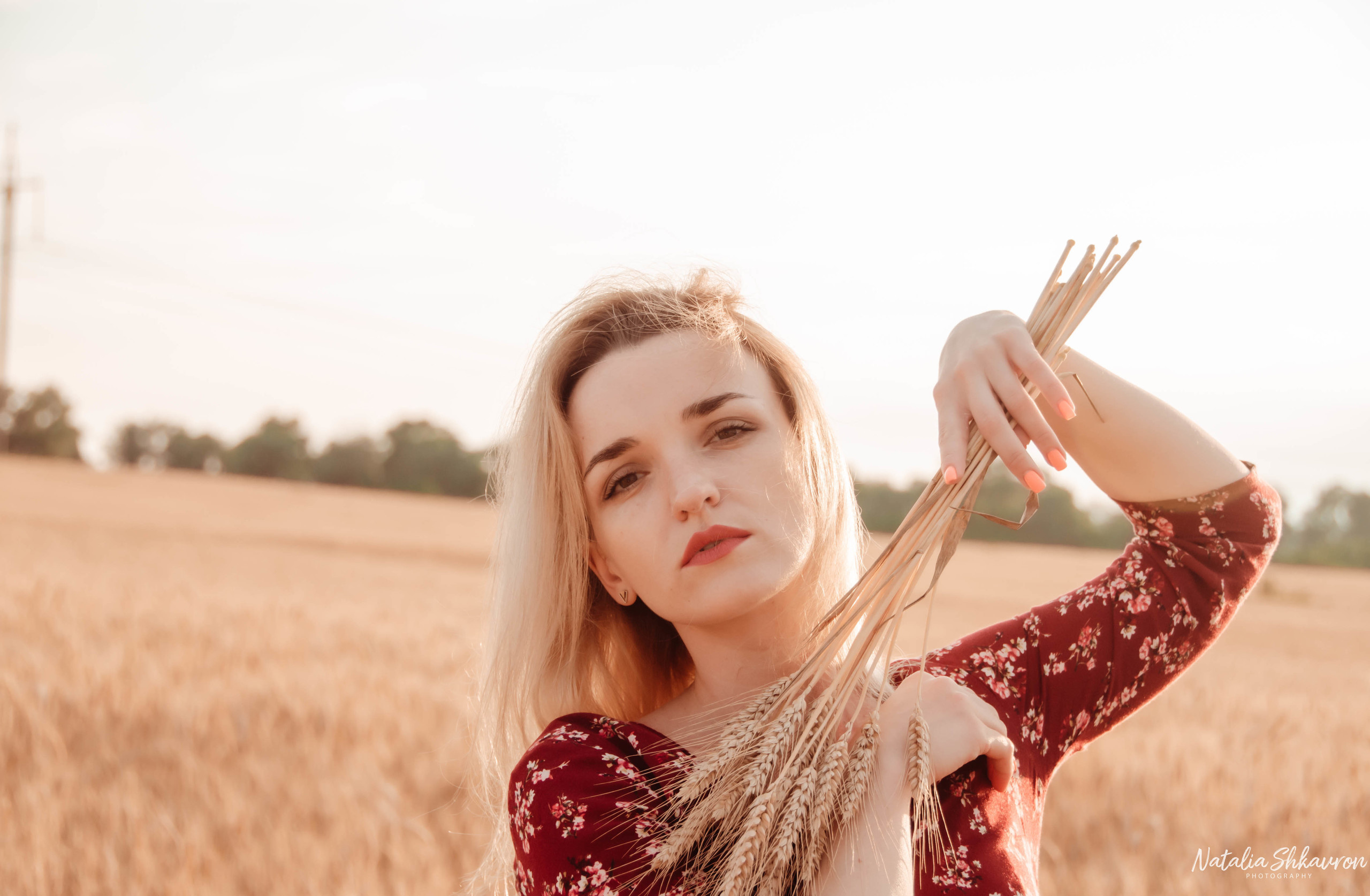 Індивідуальна фотосесія в пшениці. Сімейний фотограф Київ Наталія Шкаврон