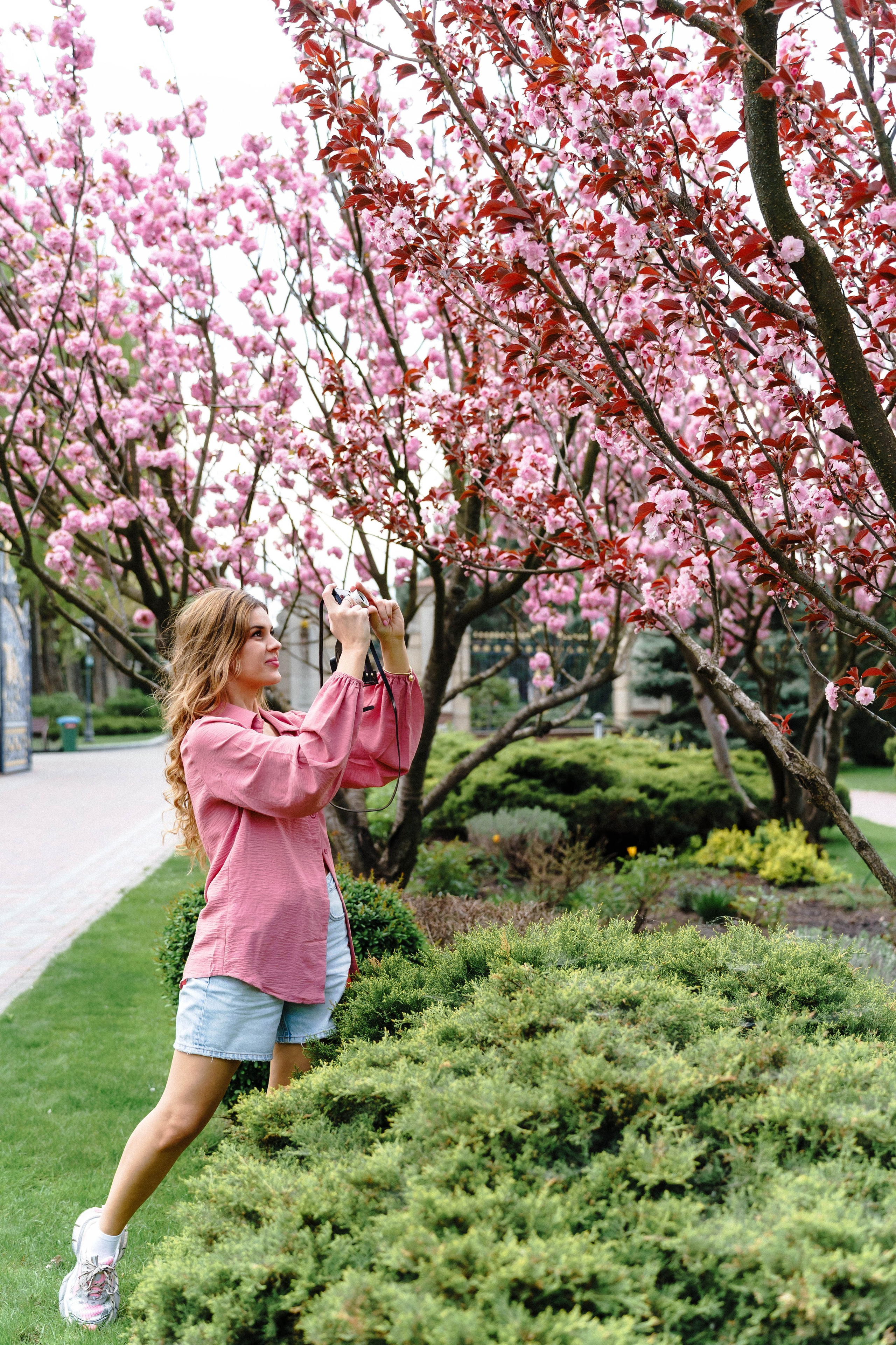 Фотосесія в сакурах. Family photographer in Kiev Natalia Shkavron
