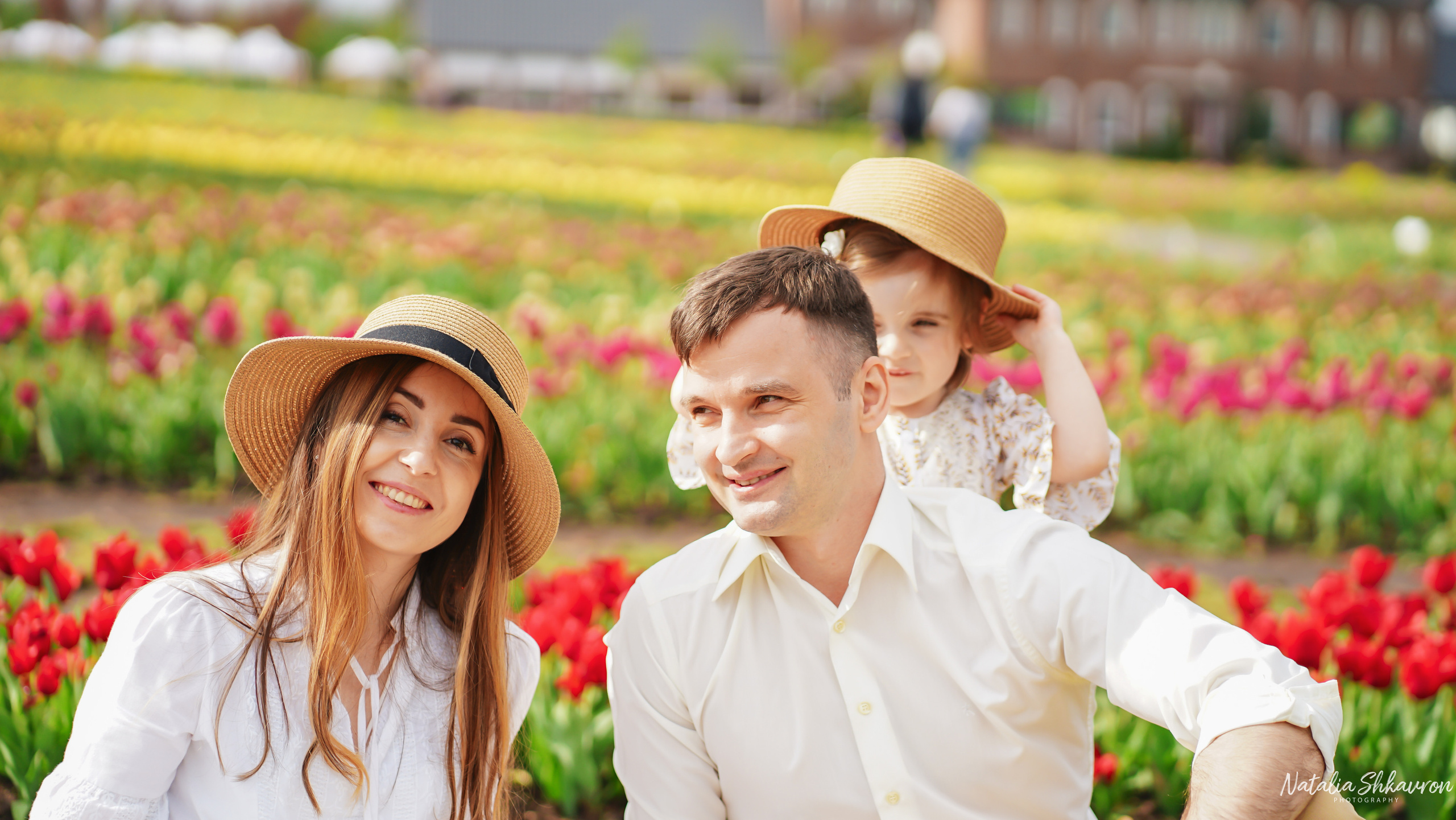 Сімейна фотосесія в тюльпанах. Сімейний фотограф Київ Наталія Шкаврон