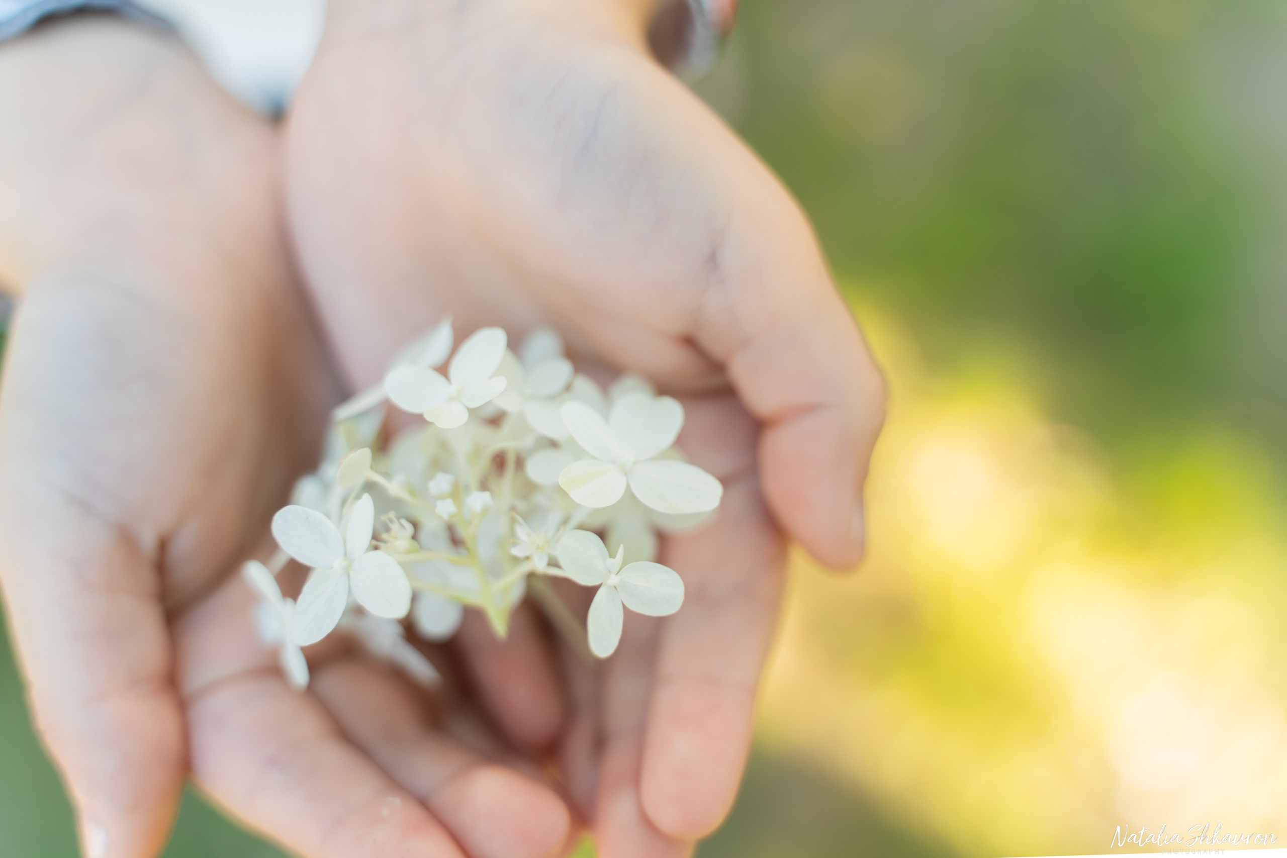 1 вересня. Сімейний фотограф Київ Наталія Шкаврон