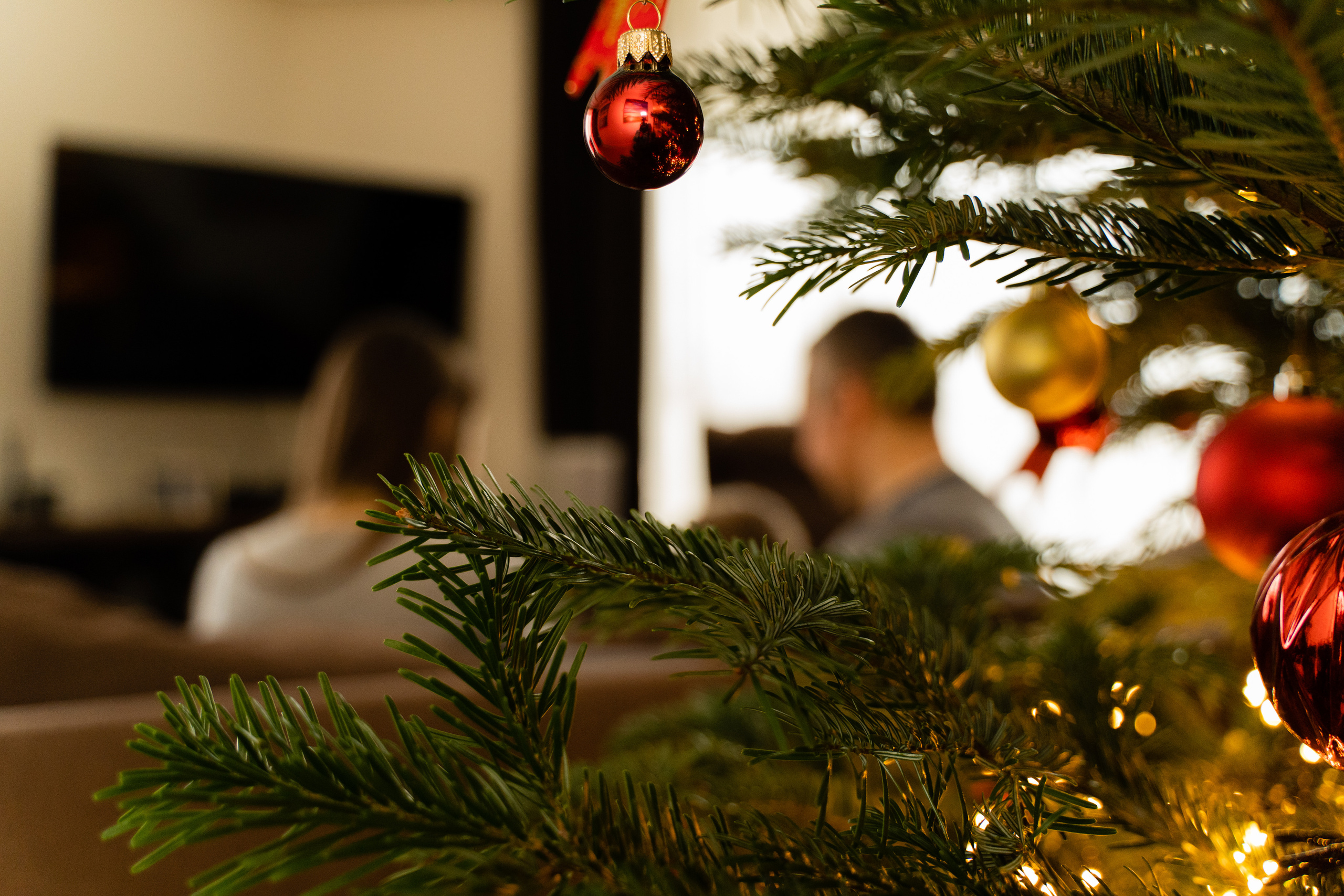 Новорічна домашня фотосесія. Сімейний фотограф Київ Наталія Шкаврон