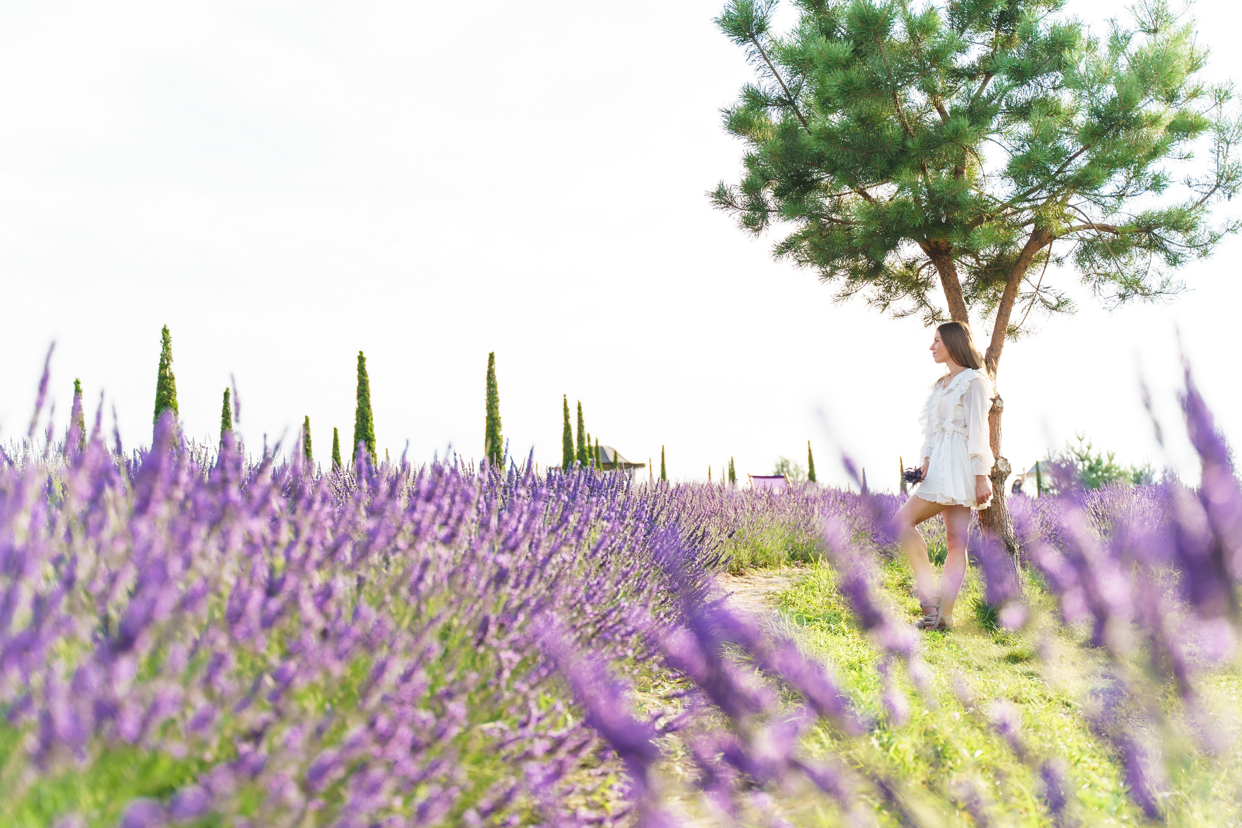 Фотосесія в лаванді у Добропарку. Family photographer in Kiev Natalia Shkavron
