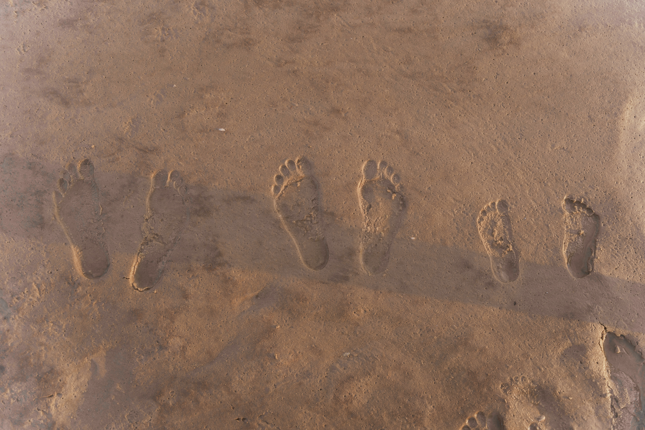 Фотосесія вагітності біля Київського моря. Сімейний фотограф Київ Наталія Шкаврон
