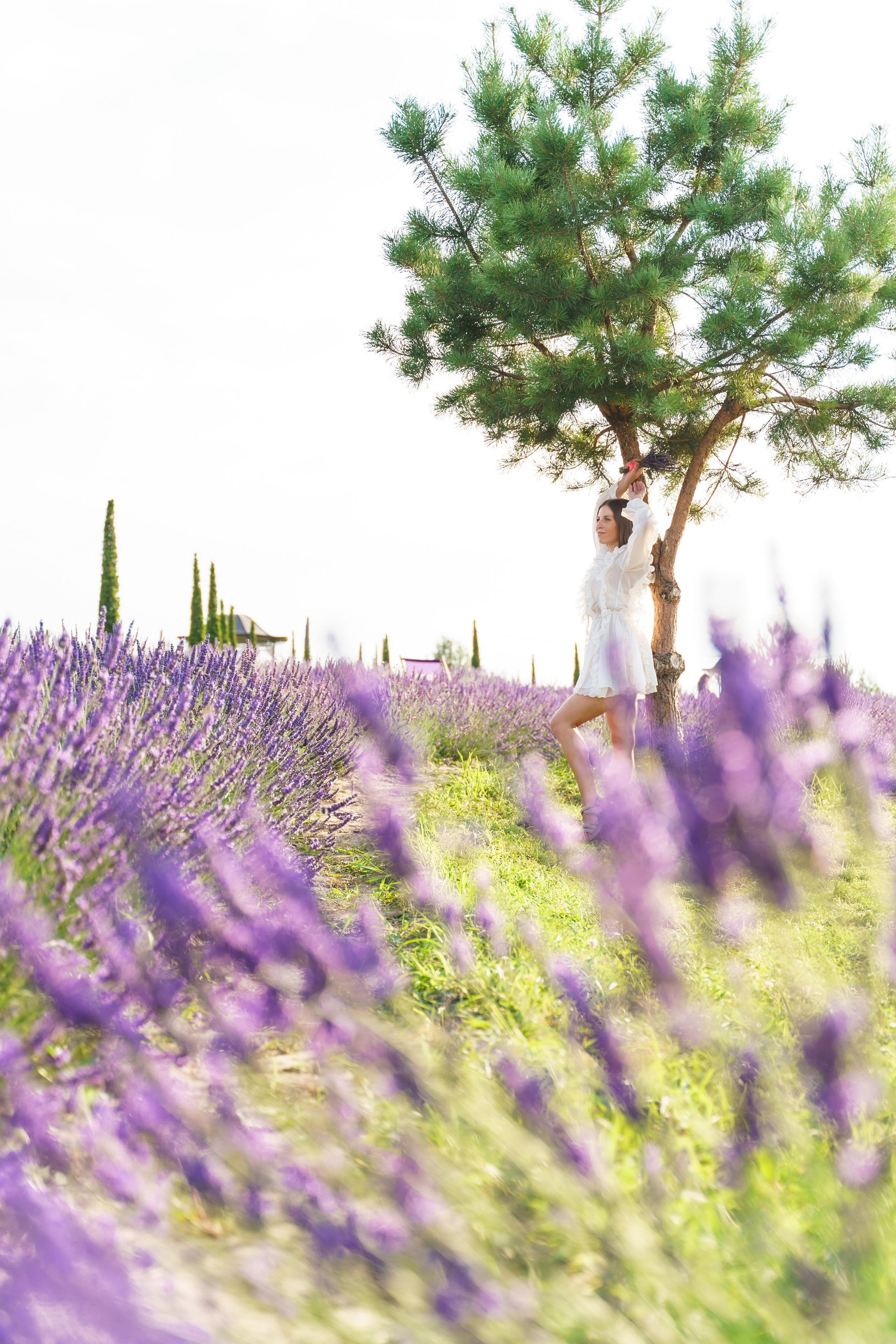 Фотосесія в лаванді у Добропарку. Family photographer in Kiev Natalia Shkavron