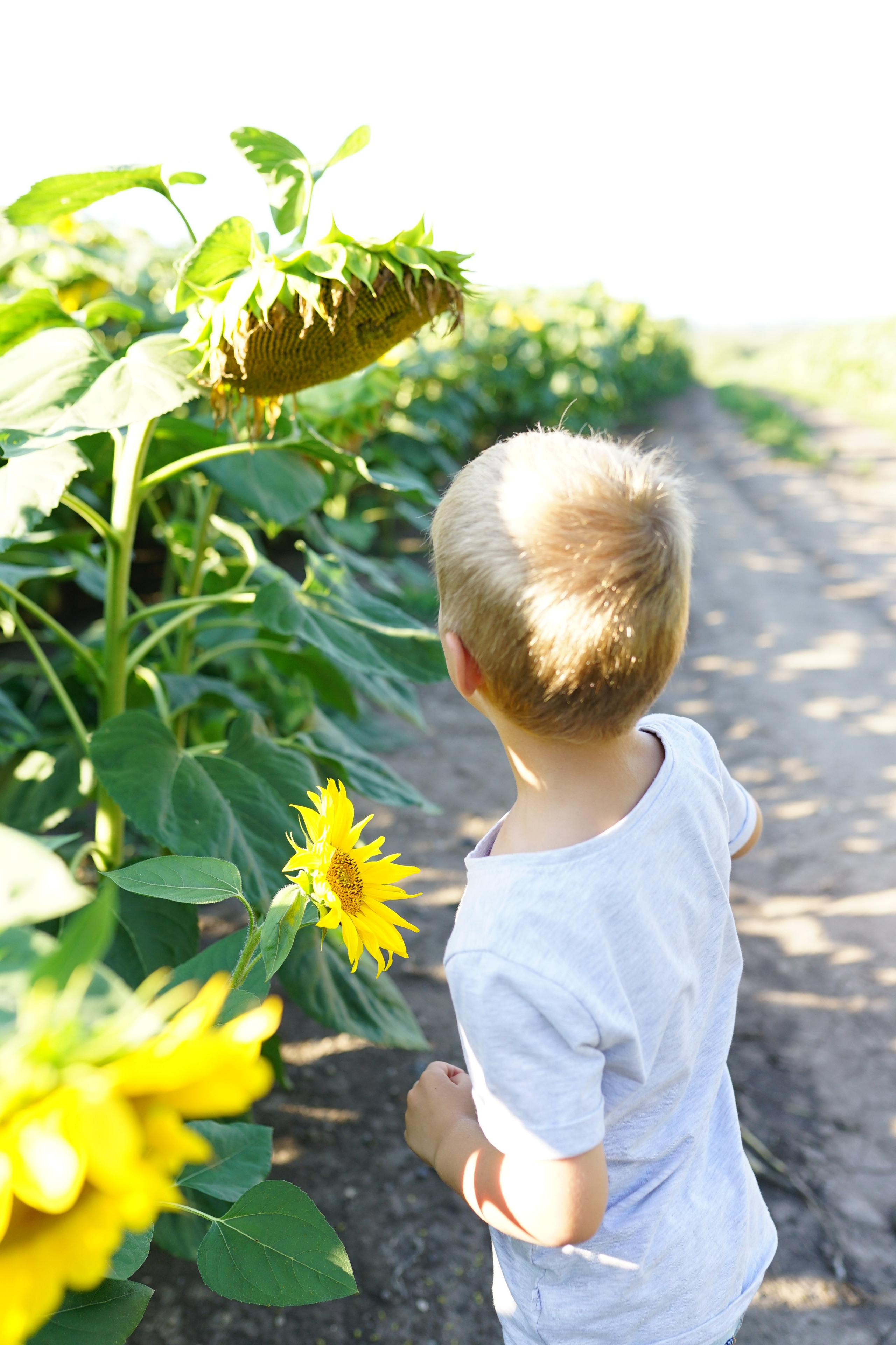 Сімейна фотосесія з кавунами. Family photographer in Kiev Natalia Shkavron