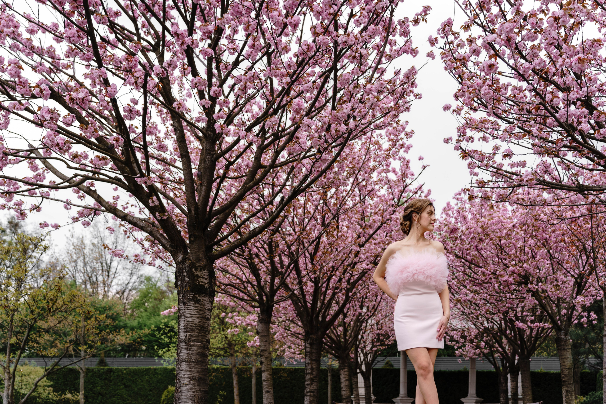 Фотосесія в сакурах. Family photographer in Kiev Natalia Shkavron